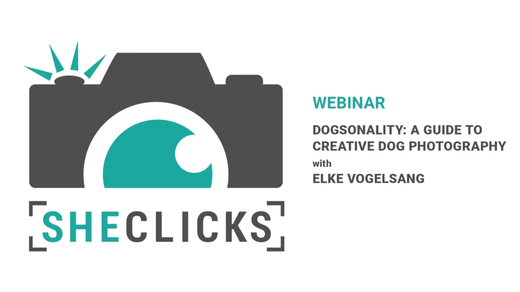 Dogsonality – a guide to creative dog photography