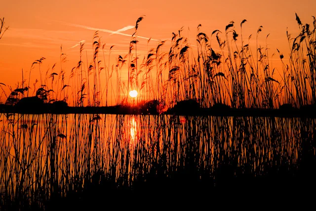 Anila Hussain: Photography saved my life