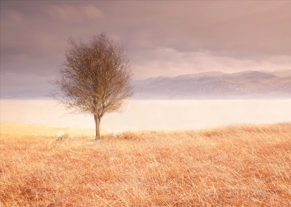 Setting up a (Landscape) Photography Workshop Company