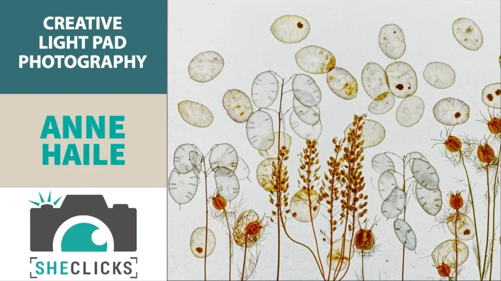 Creative Light Pad Photography with Anne Haile