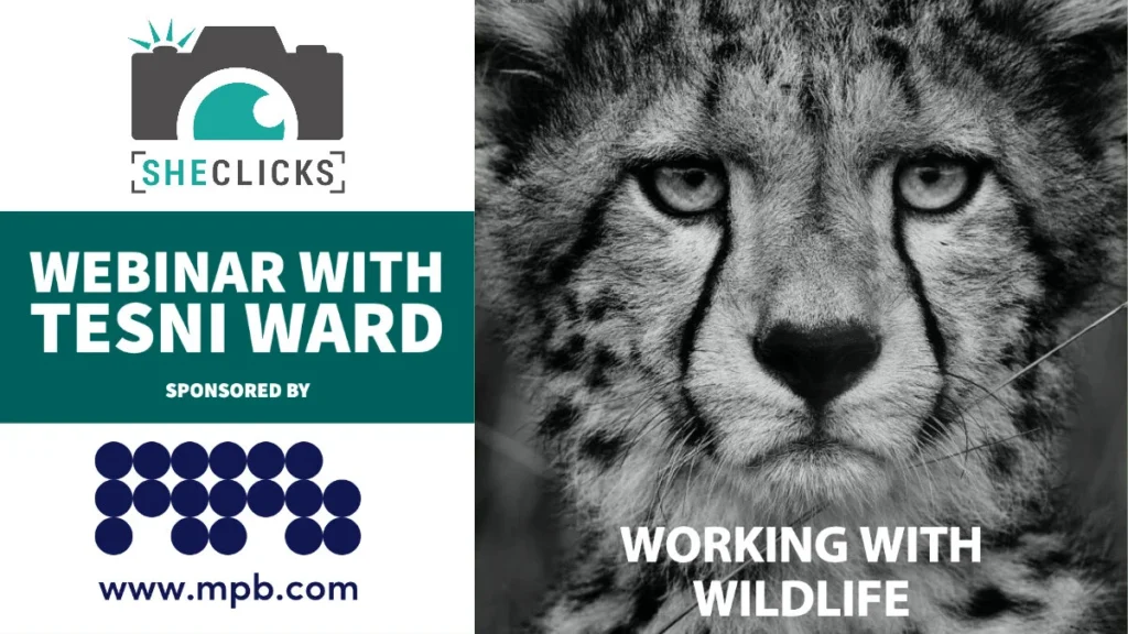 Working with Wildlife