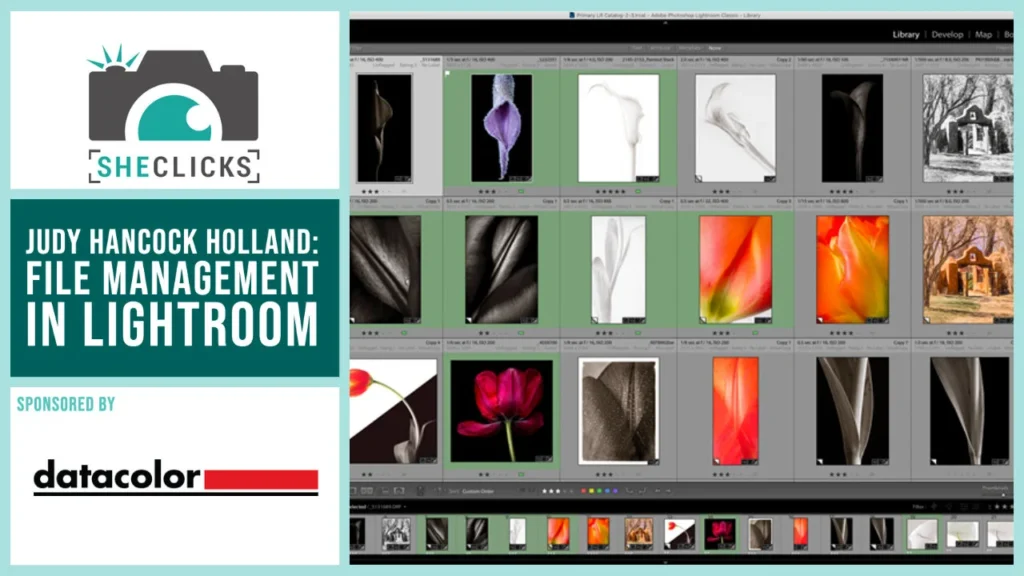 File Management in Adobe Lightroom