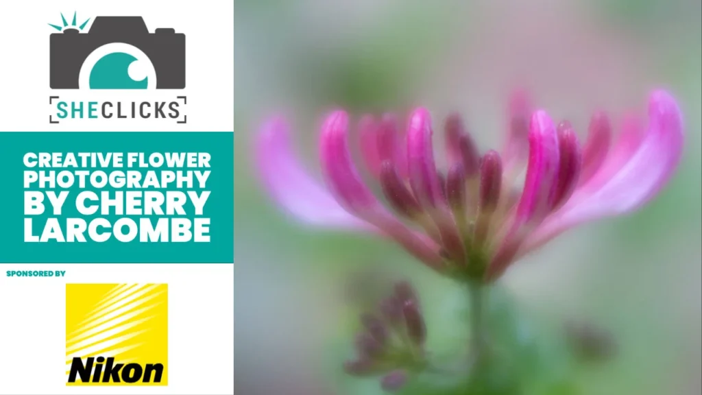Creative Flower Photography