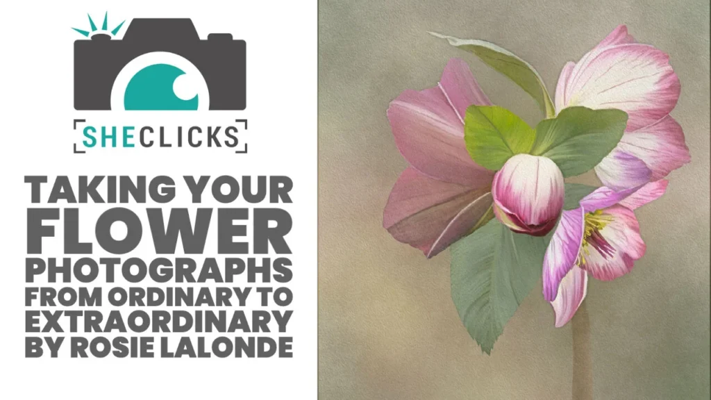 Taking your flower photographs from ordinary to extraordinary