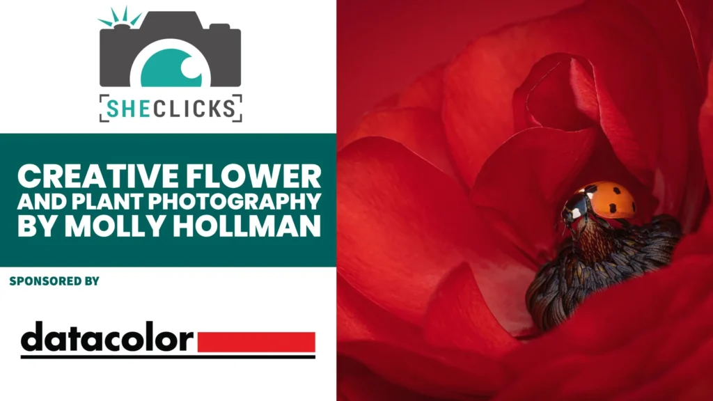 Creative Flower and Plant Photography