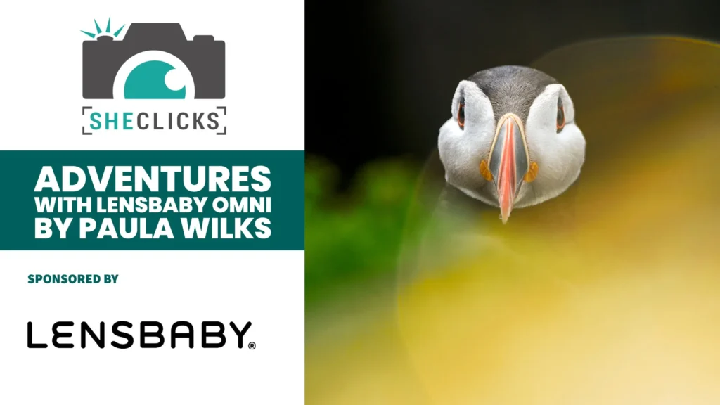 Adventures with a Lensbaby Creative Filter System