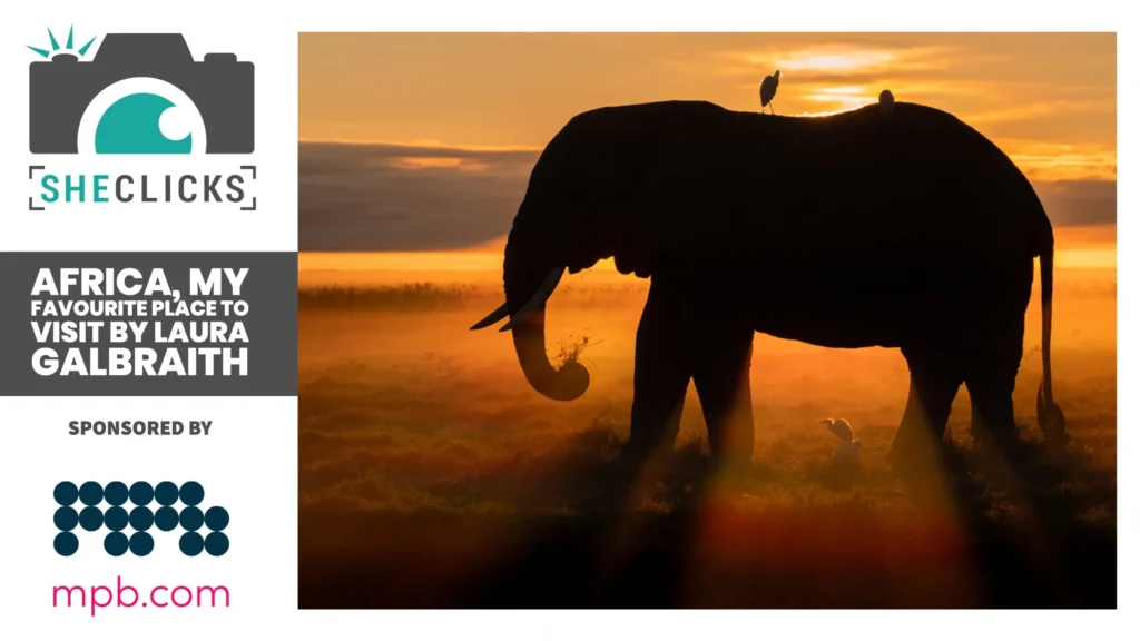 Africa, my favourite place to visit