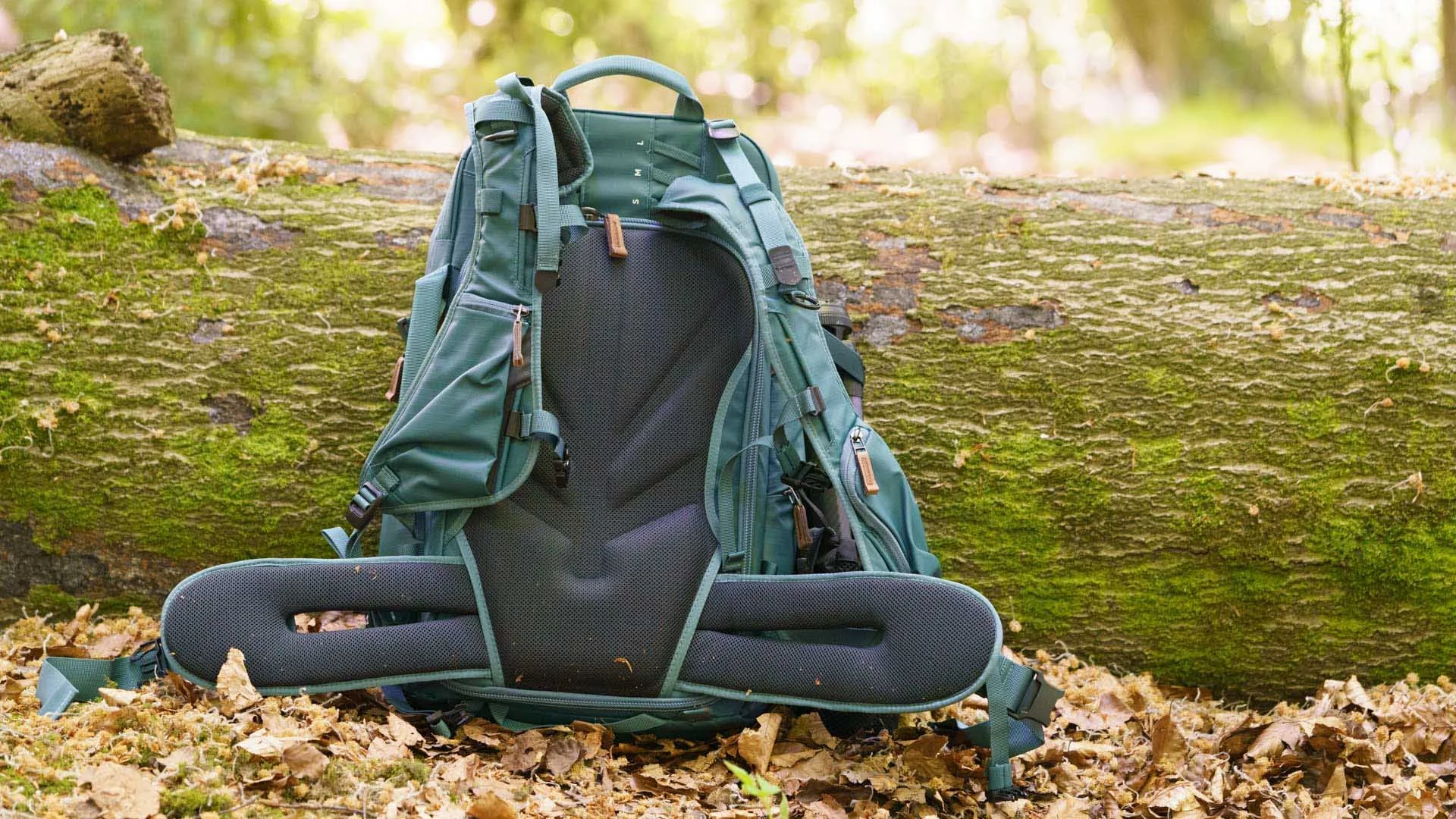  The shoulder straps (or harness) of the Shimoda Explore 30 v2 Women’s Series have pockets and pouches for holding key items like your phone.  The waist strap is removable. 