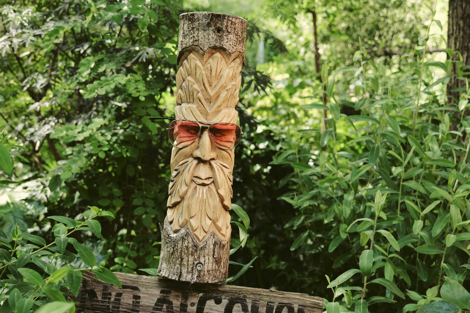  Image Credit: Angela Nicholson  (using a custom LUT). Another example of the excellent level of detail captured by the Panasonic S9 and its ability to isolate subjects from the background. 