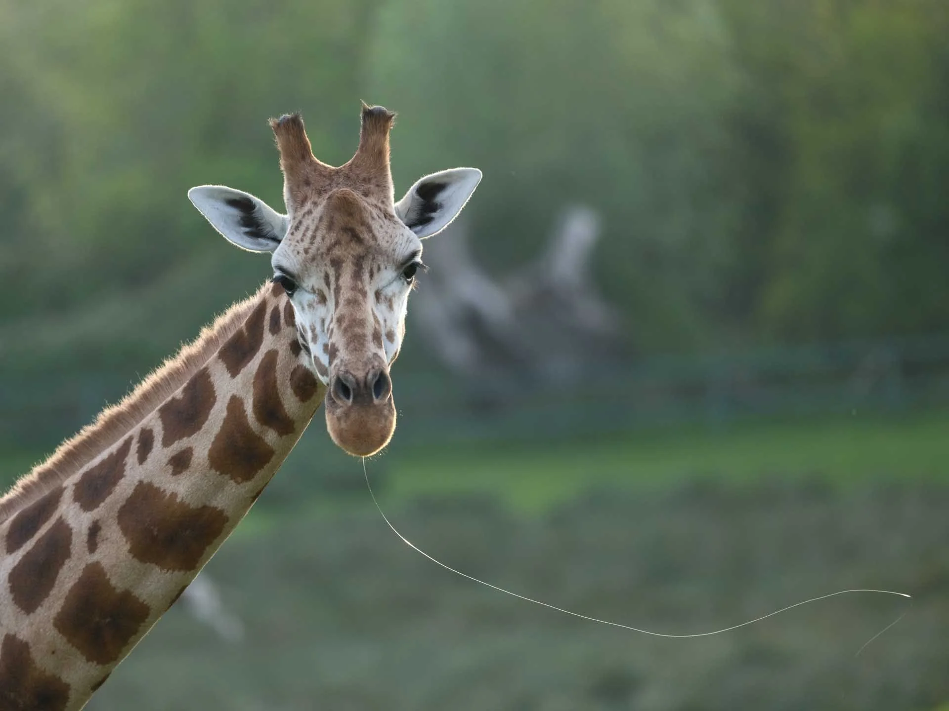  Image Credit: Angela Nicholson With the sun falling fast, this image was shot at ISO 1600 and the noise is controlled well. 