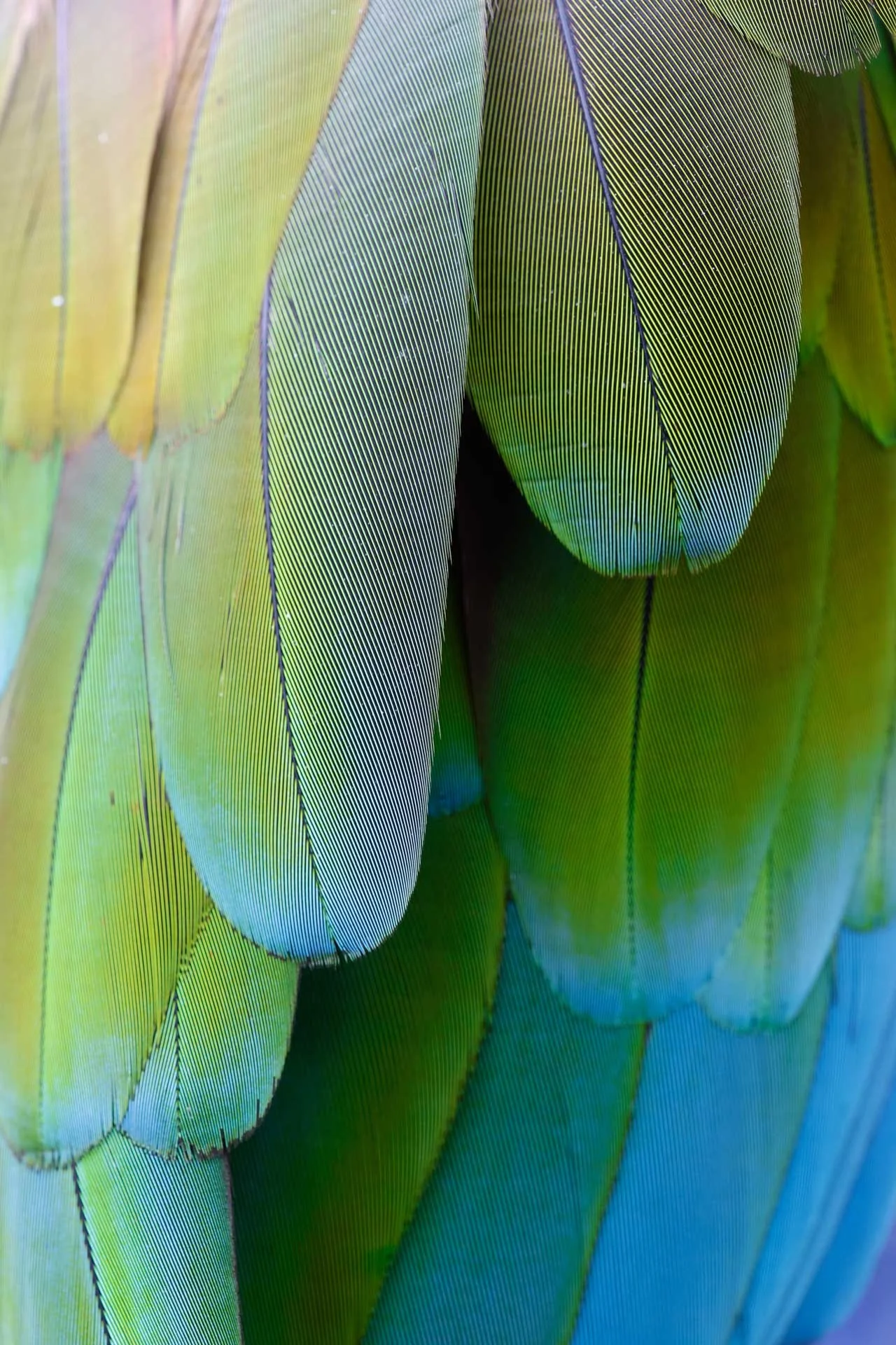  Image Credit: Angela Nicholson. There’s plenty of detail and accurate colours in this image from the Canon EOS R6 Mark II. 