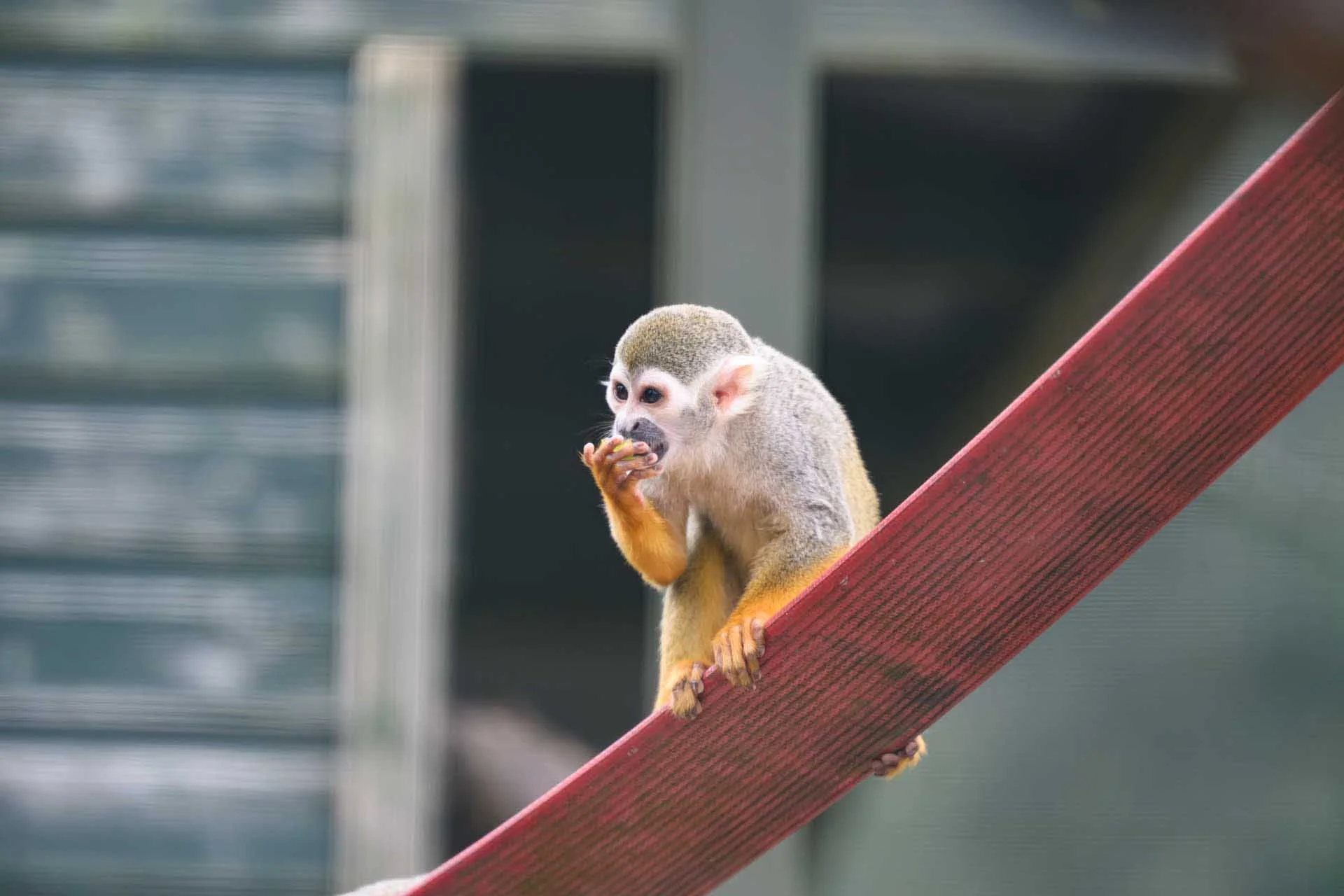  Image credit: Angela Nicholson. This is the same images as the one above but after a slight boost to the contrast and clarirty in Adobe Camera Raw. 