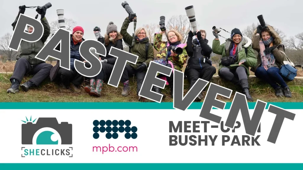 Meet-up at Bushy Park, UK