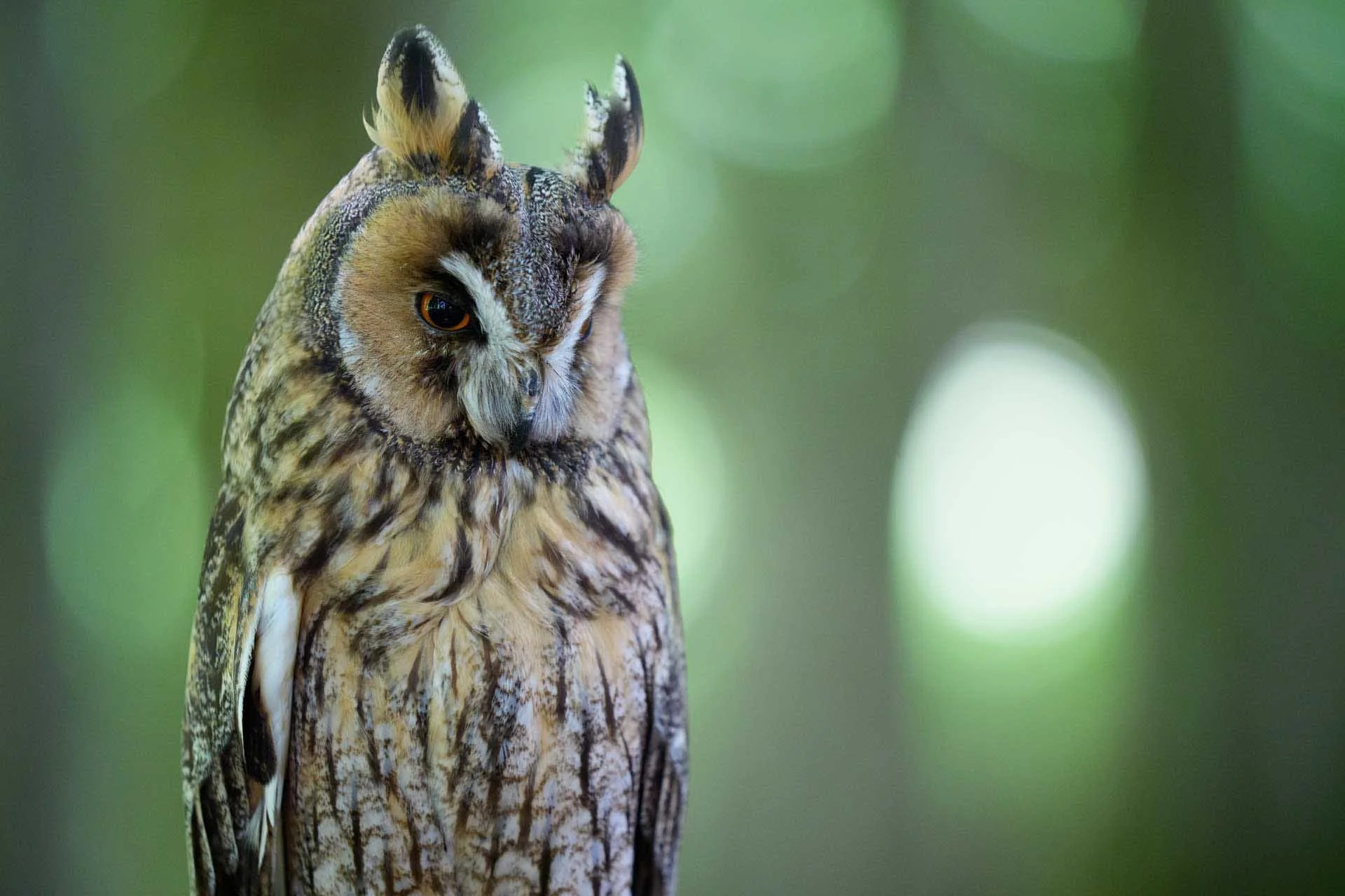  There's a good level of detail visible in this ISO 3200 image. 