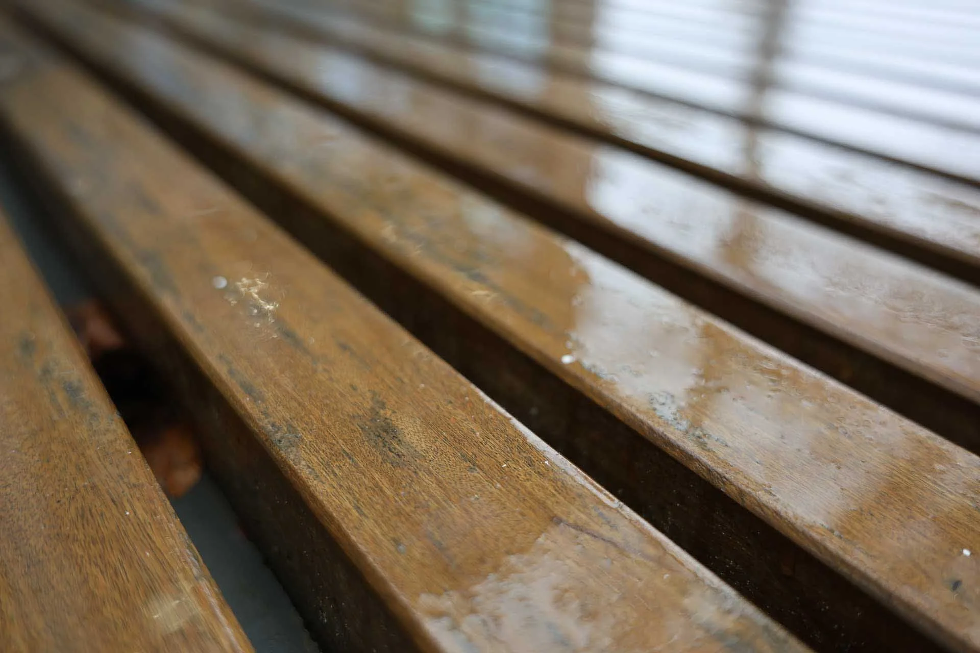  Image credit: Angela Nicholson. Even at the 28mm end, depth of field can be limited by shooting close with the maximum aperture.. Image data: 28mm on the Canon RF 28-70mm F2.8 IS STM at f/2.8, 1/80 sec, ISO 250. 