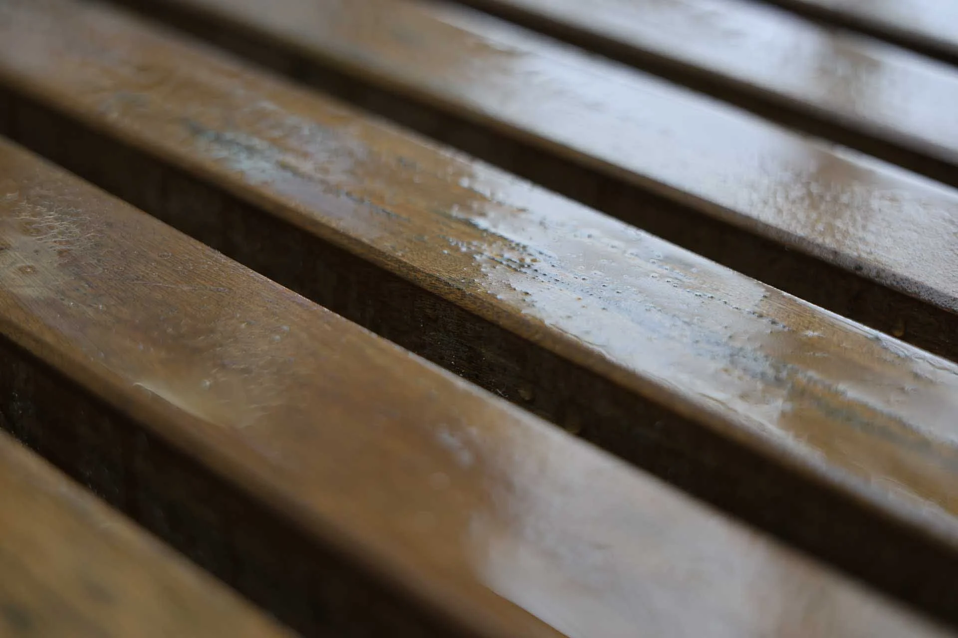  Image credit: Angela Nicholson. Shooting at 70mm end with the aperture wide open reduces depth of field even further. Image data: 70mm on the Canon RF 28-70mm F2.8 IS STM at f/2.8, 1/80 sec, ISO 320. 