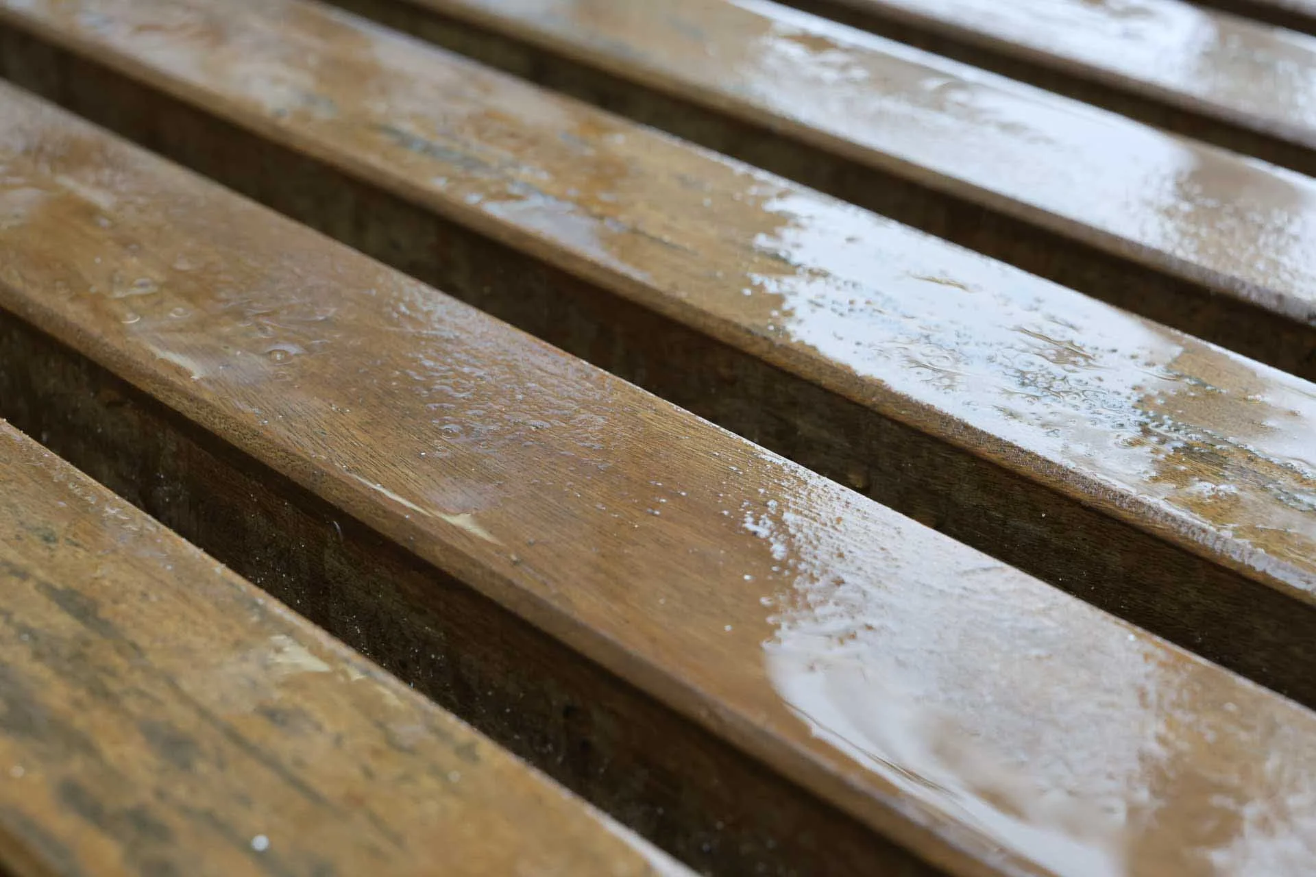  Image credit: Angela Nicholson. Closing the aperture to f/9 extends the depth of field. Image data: 70mm on the Canon RF 28-70mm F2.8 IS STM at f/9, 1/80 sec, ISO 4000. 