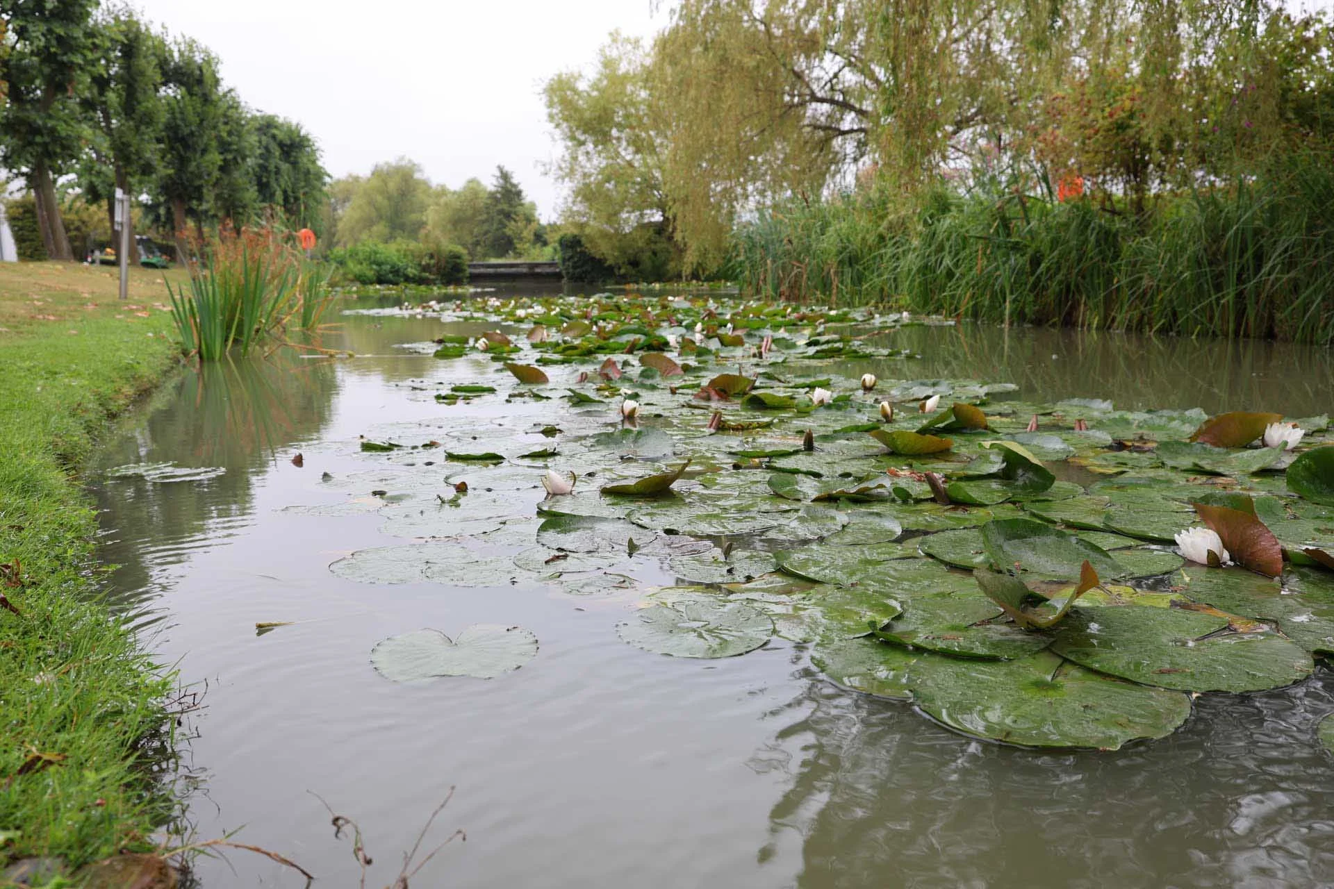  Image credit: Angela Nicholson. This image was shot at the 28mm end of the Canon RF 28-70mm F2.8 IS STM at f/5.6, 1/60 sec, ISO 250. There's a good level of sharp detail visible. 
