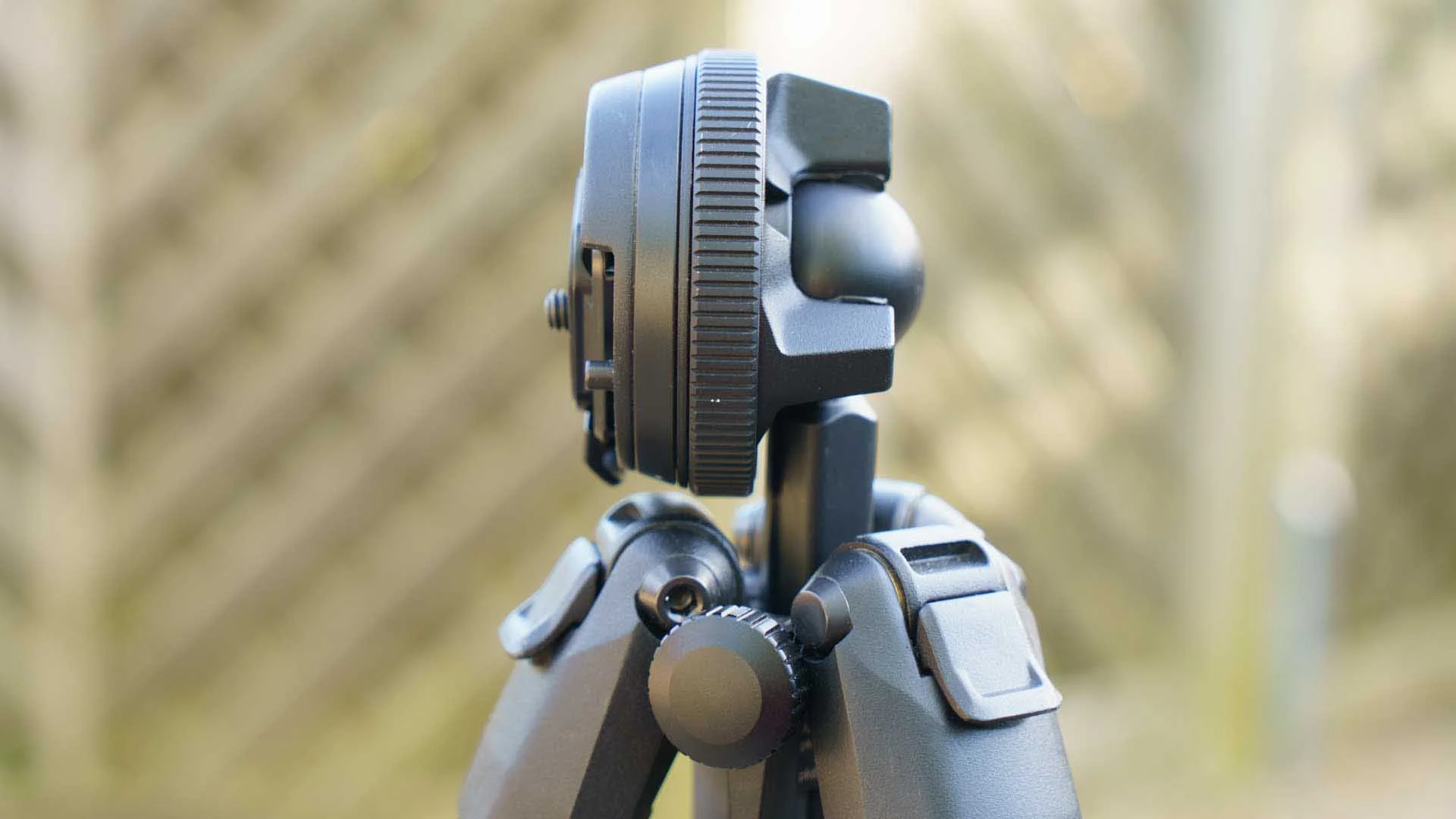  The ball in the head of the Peak Design Travel Tripod is clearly visible when the head is tilted for portrait-orientation shooting. 