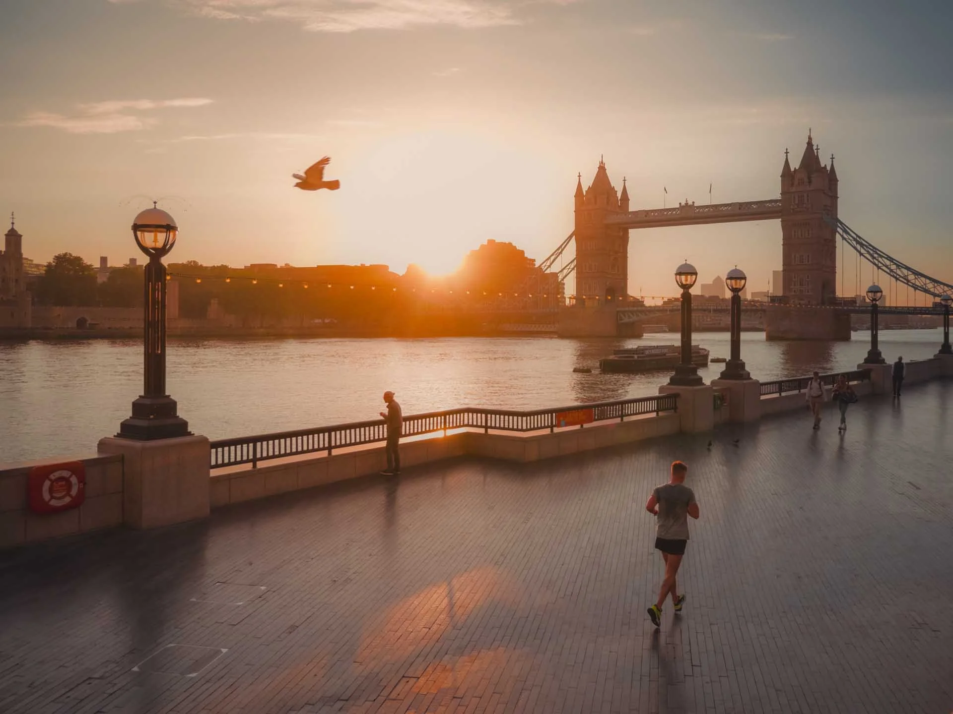  The bright viewfinder is likely to help in situations like this when you’re looking towards the sun because your eyes don’t have to adjust as much to change in illumination. 