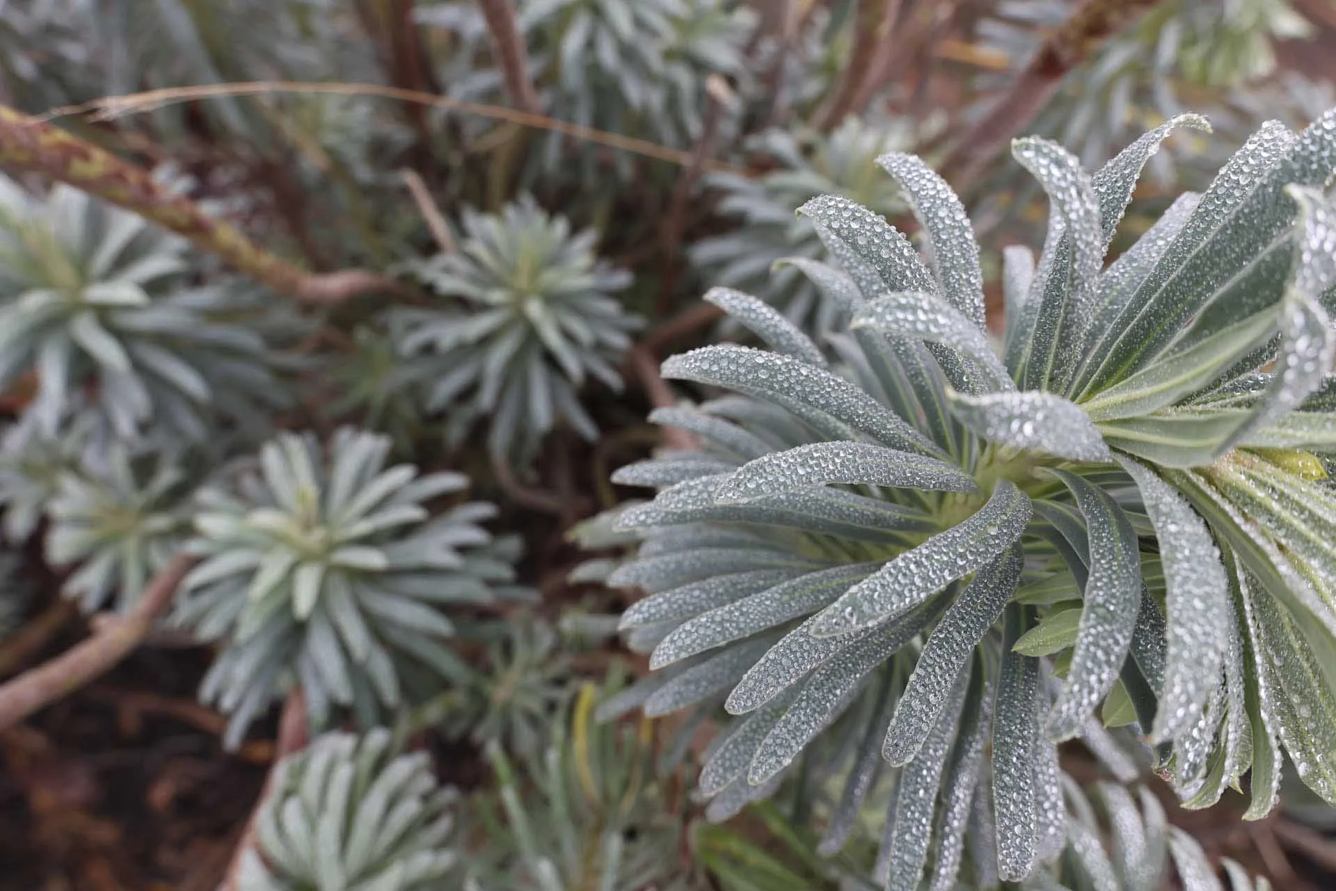  There appears to be a good level of detail and sharpness across the frame. 