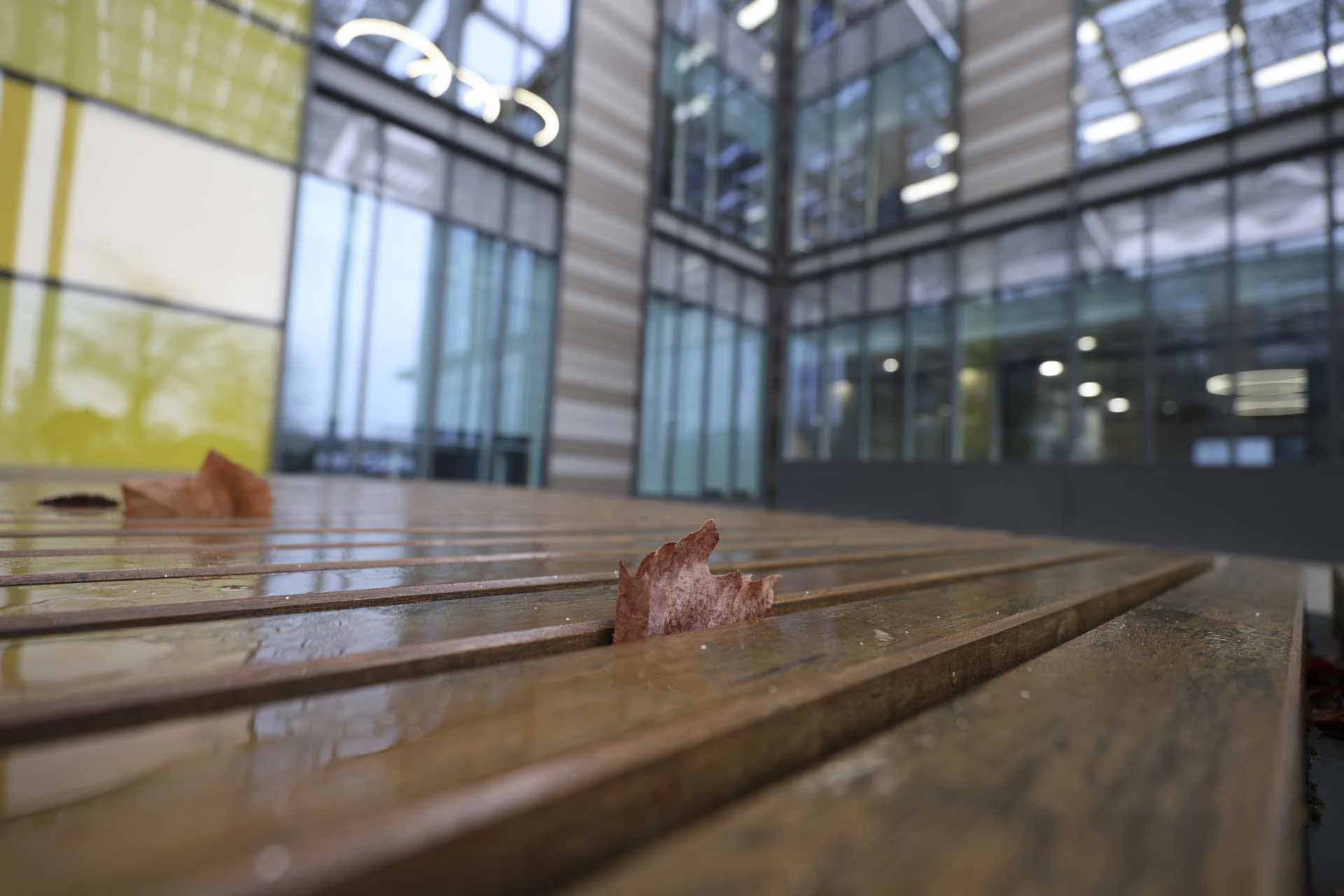  Distortion is corrected well in this shot captured at the 16mm end of the Canon RF 16-28mm F2.8 IS STM. 