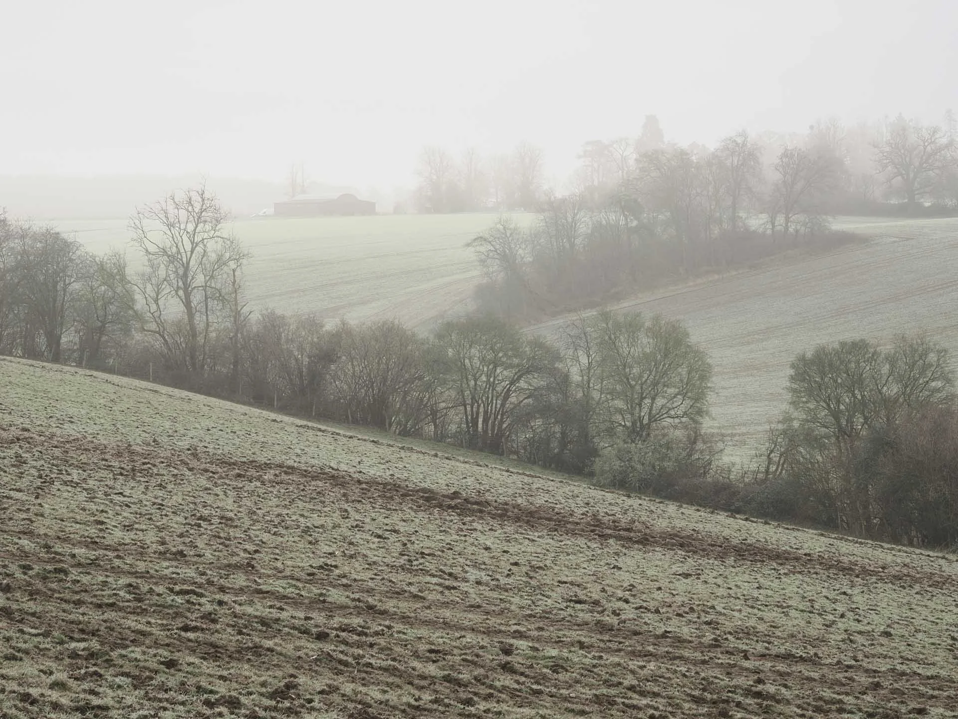  A low-saturation approach emphasises the misty conditions rather than fighting against them with high saturation and contrast. 