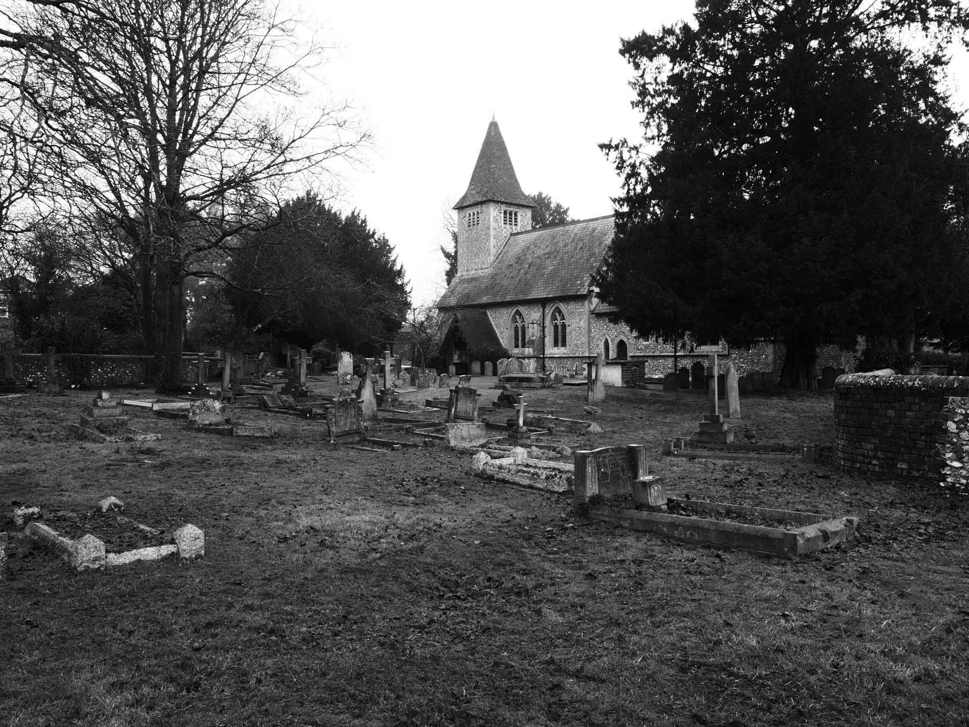  The OM-3’s vari-angle screen is very useful when you want to shoot from above or below head-height. 