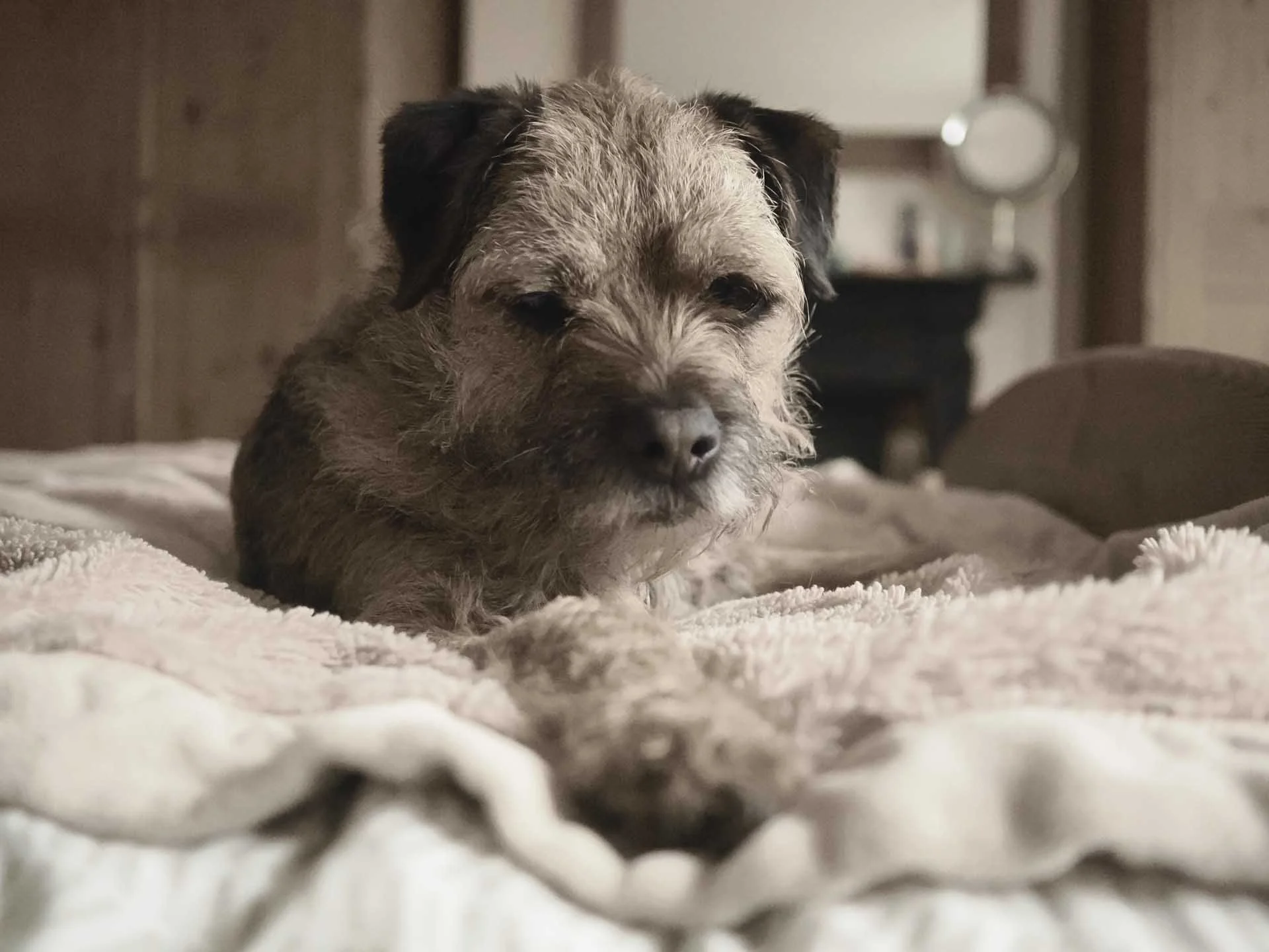  This ISO 20,000 image lacks a little more detail than the previous image, but it’s still very respectable. As with the previous image, I reduced the saturation using the Colour Creator tools and warmed the image by using the shade white balance setting. 