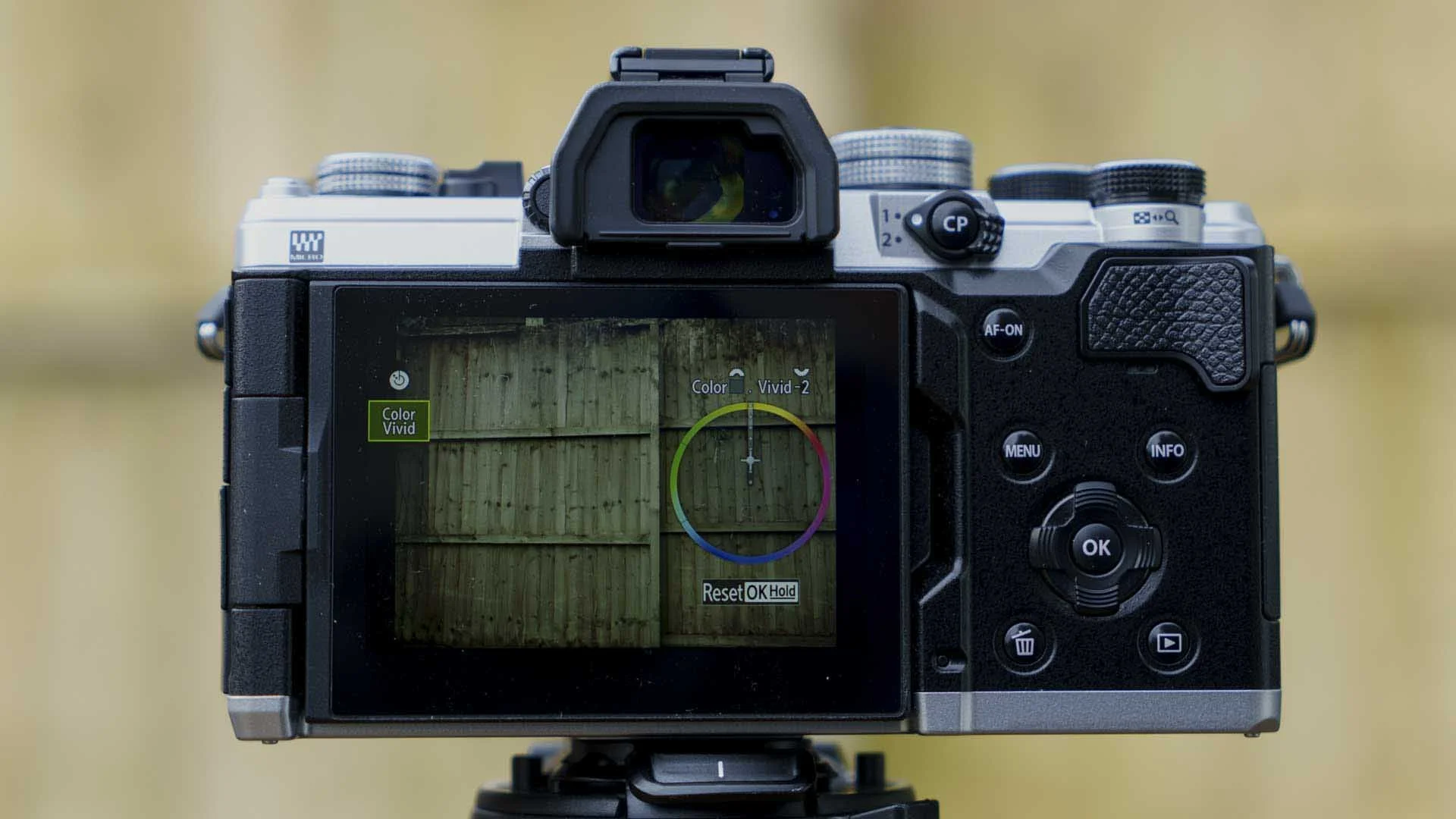  The OM System OM-3’s Colour Creator control makes it easy to adjust the saturation and hue of the image. 