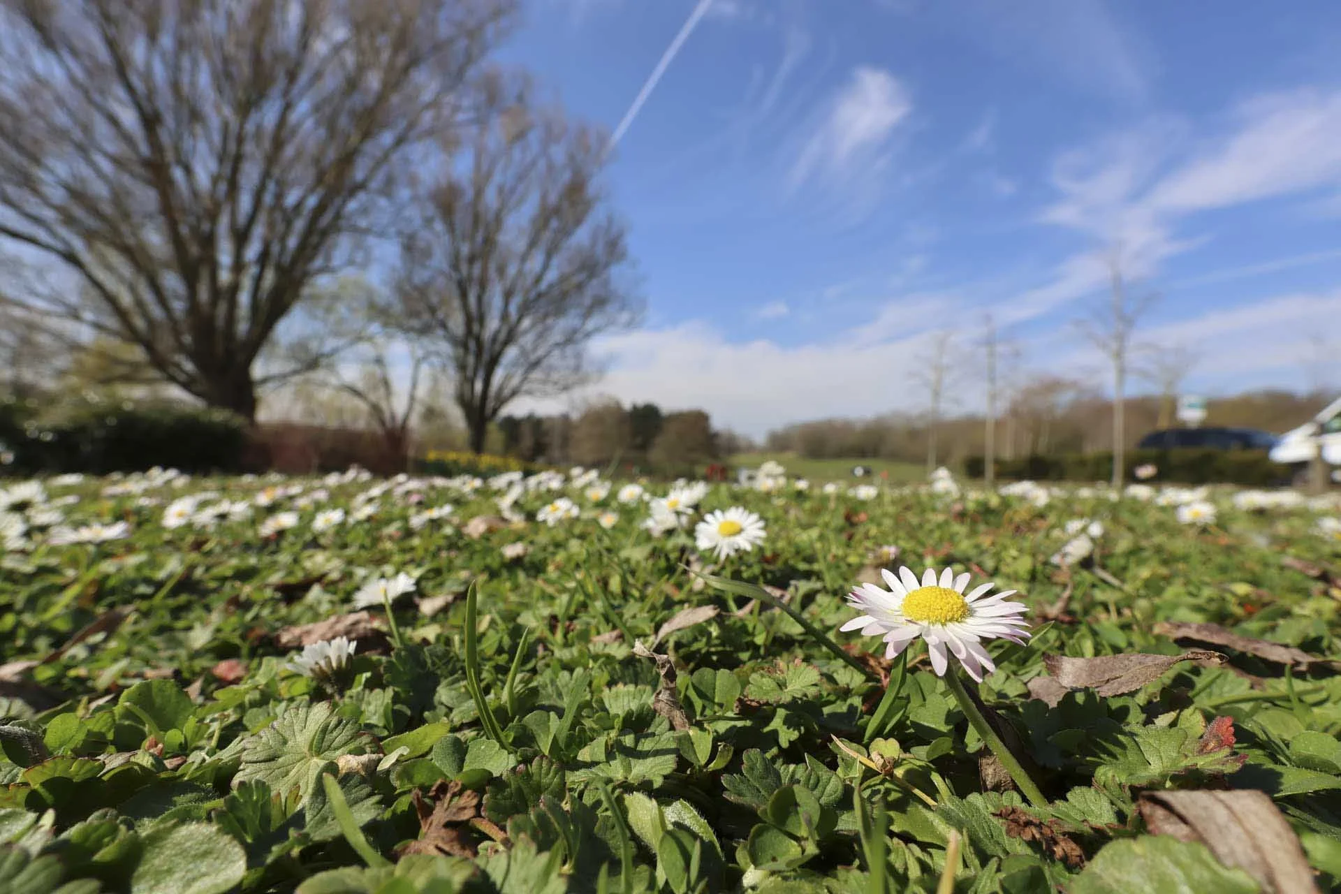  The Canon PowerShot V1 has an impressively close shortest focusing distance. This image was shot at the widest point of the lens with an aperture of f/8. 