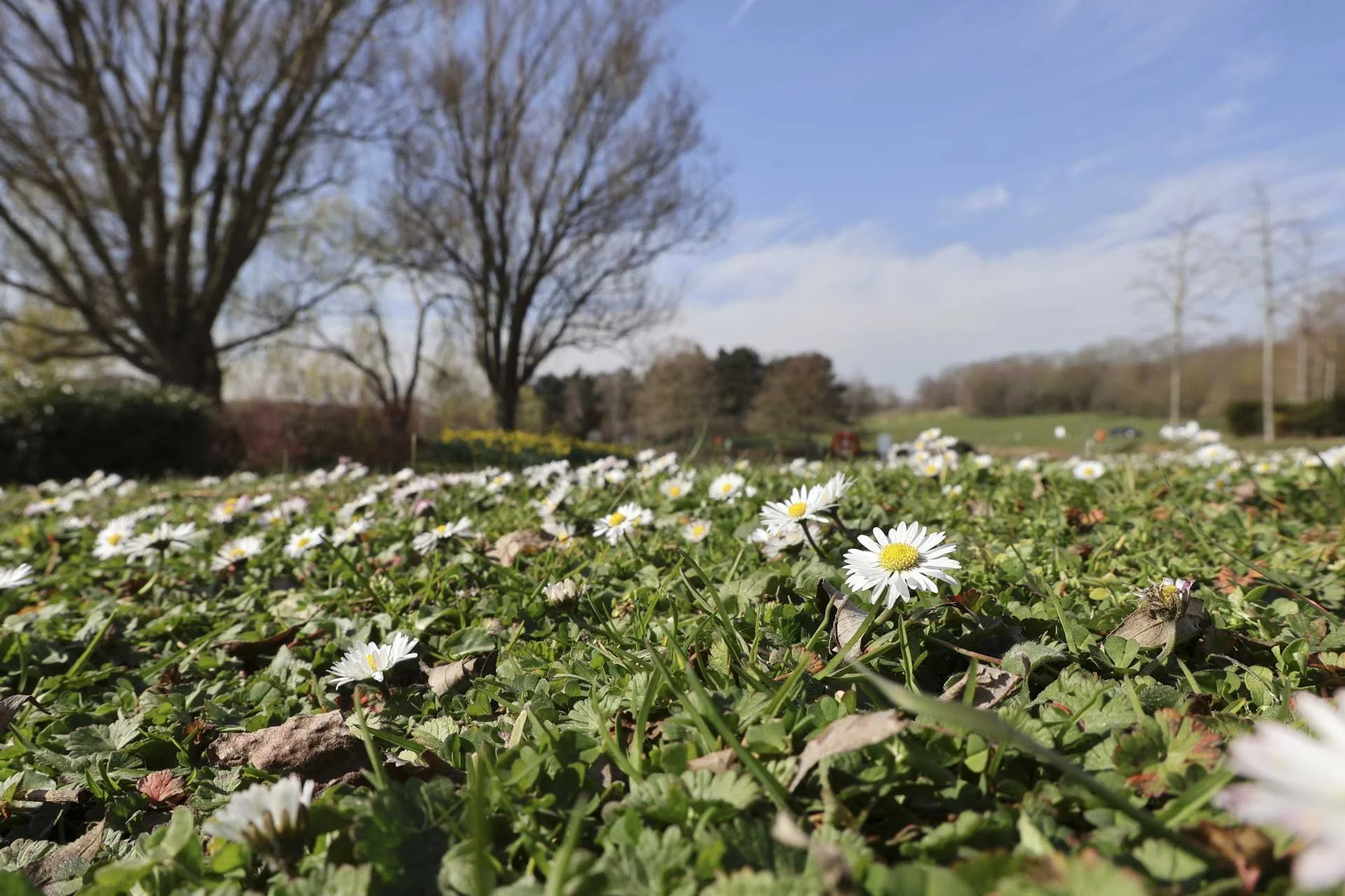  The vari-angle screen proves its worth for low-level shots like this. The focus point was selected with a tap of a finger.  Image shot at 1/250 sec, f9 and ISO 100. 