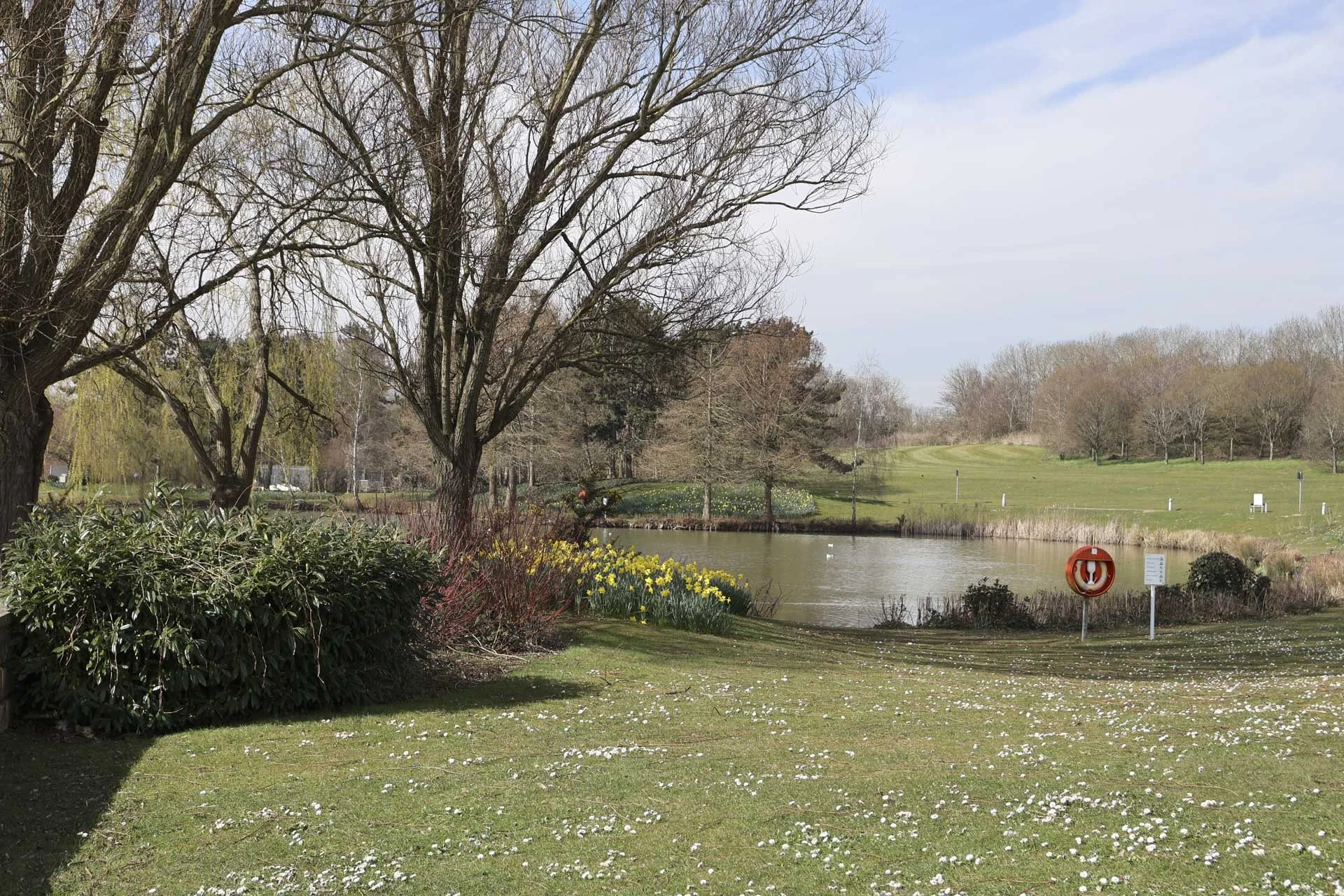  In the default settings, the Canon R50 V produces attractive, natural colours. Image shot at 1/320 sec, f6.3 and ISO 100. 