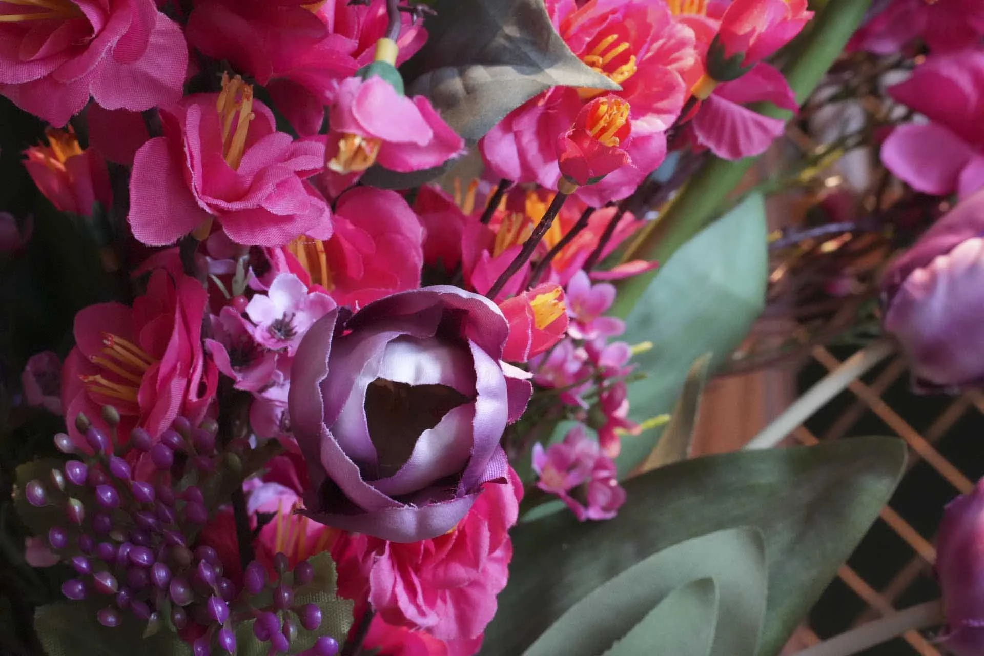  Image Credit: Angela Nicholson.  Camera: Sony A9 III, Lens: Sony FE 50-150mm F2 GM at 150mm, F/22, 1/40 Sec and ISO 12800. 