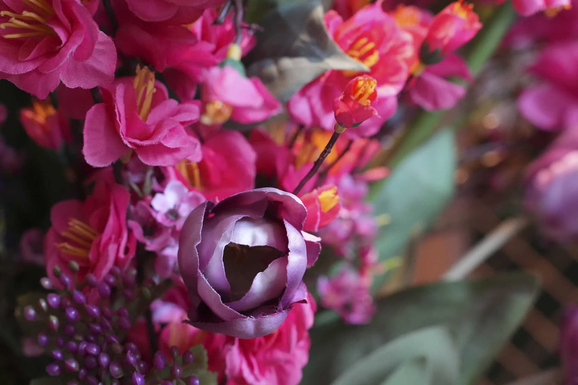  Image Credit: Angela Nicholson.  Camera: Sony A9 III, Lens: Sony FE 50-150mm F2 GM at 150mm, F/8, 1/160 Sec and ISO 6400. 