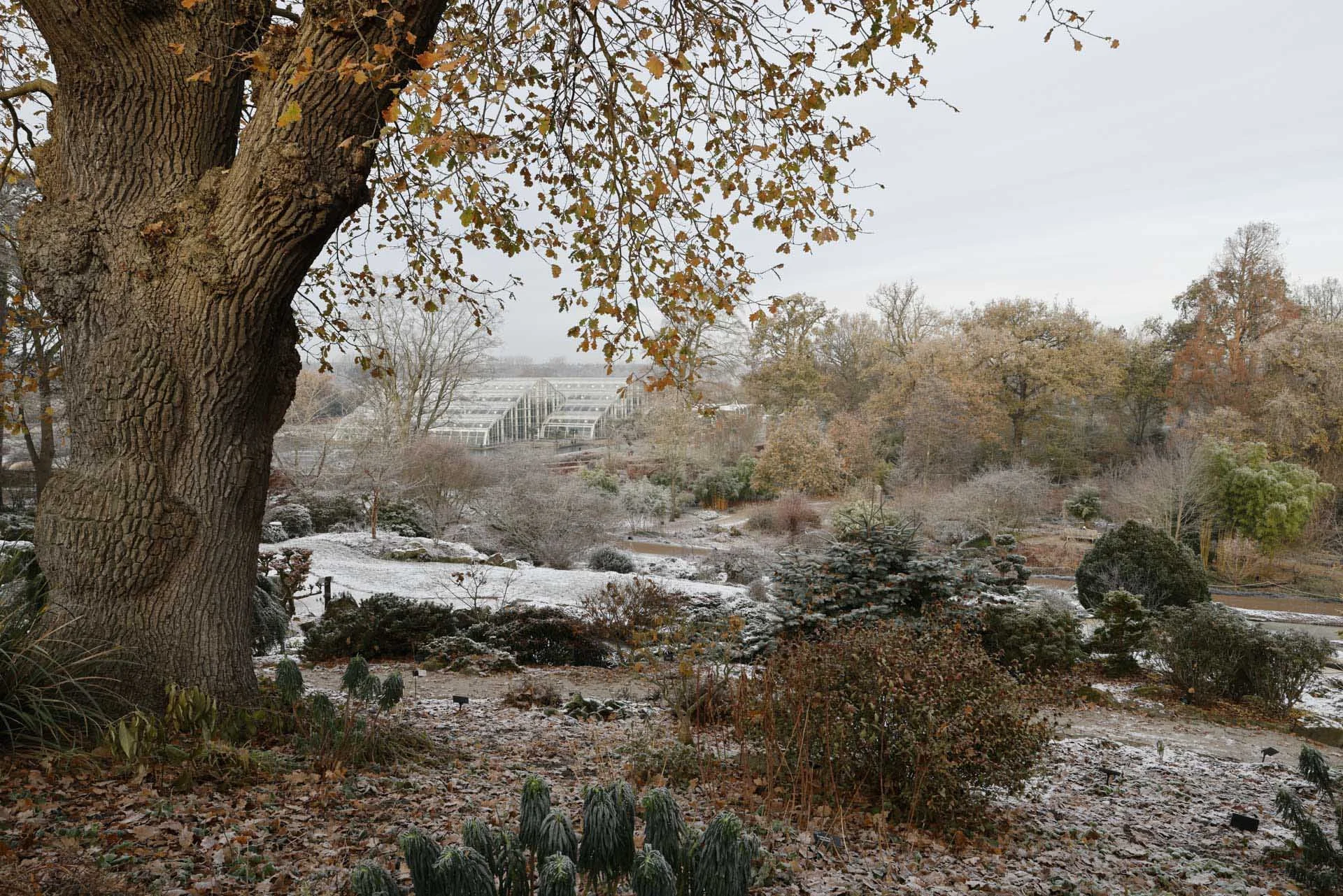 Image Credit: Angela Nicholson. At just 270g, the Canon RF 24mm f/1.8 Macro IS STM is highly portable and makes an attractive lens for landscapes when you are covering long distances on foot. Camera: Canon EOS R5, lens: Canon RF 24mm f/1.8 Macro IS STM at f/13, 1/60 sec and ISO 250.
