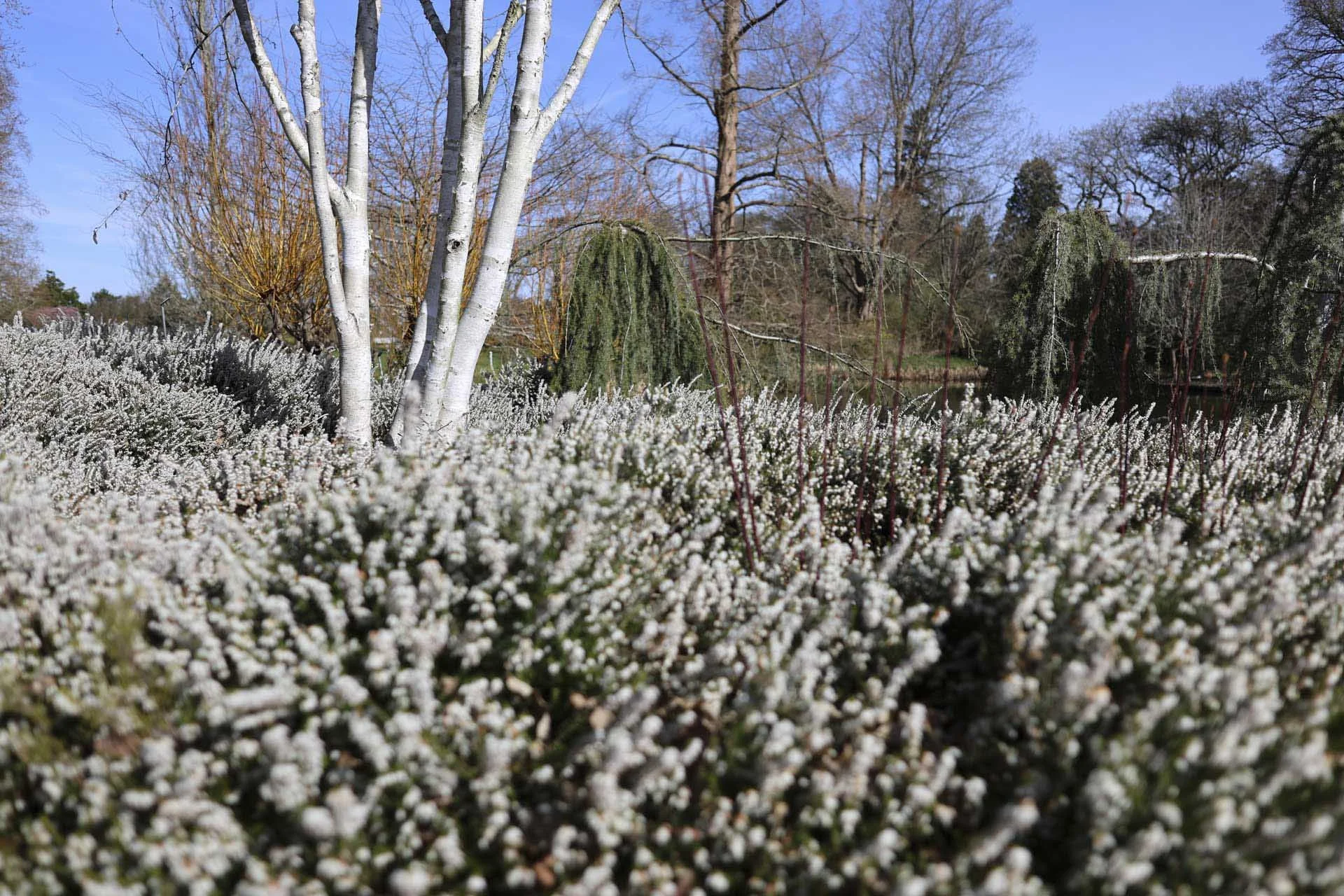 Image Credit: Angela Nicholson. There’s a good level of detail across the frame at F/2.8. Camera: Canon EOS R6II, lens: Canon RF 24mm f/1.8 Macro IS STM at f/2.8, 1/3200 sec and ISO 100.