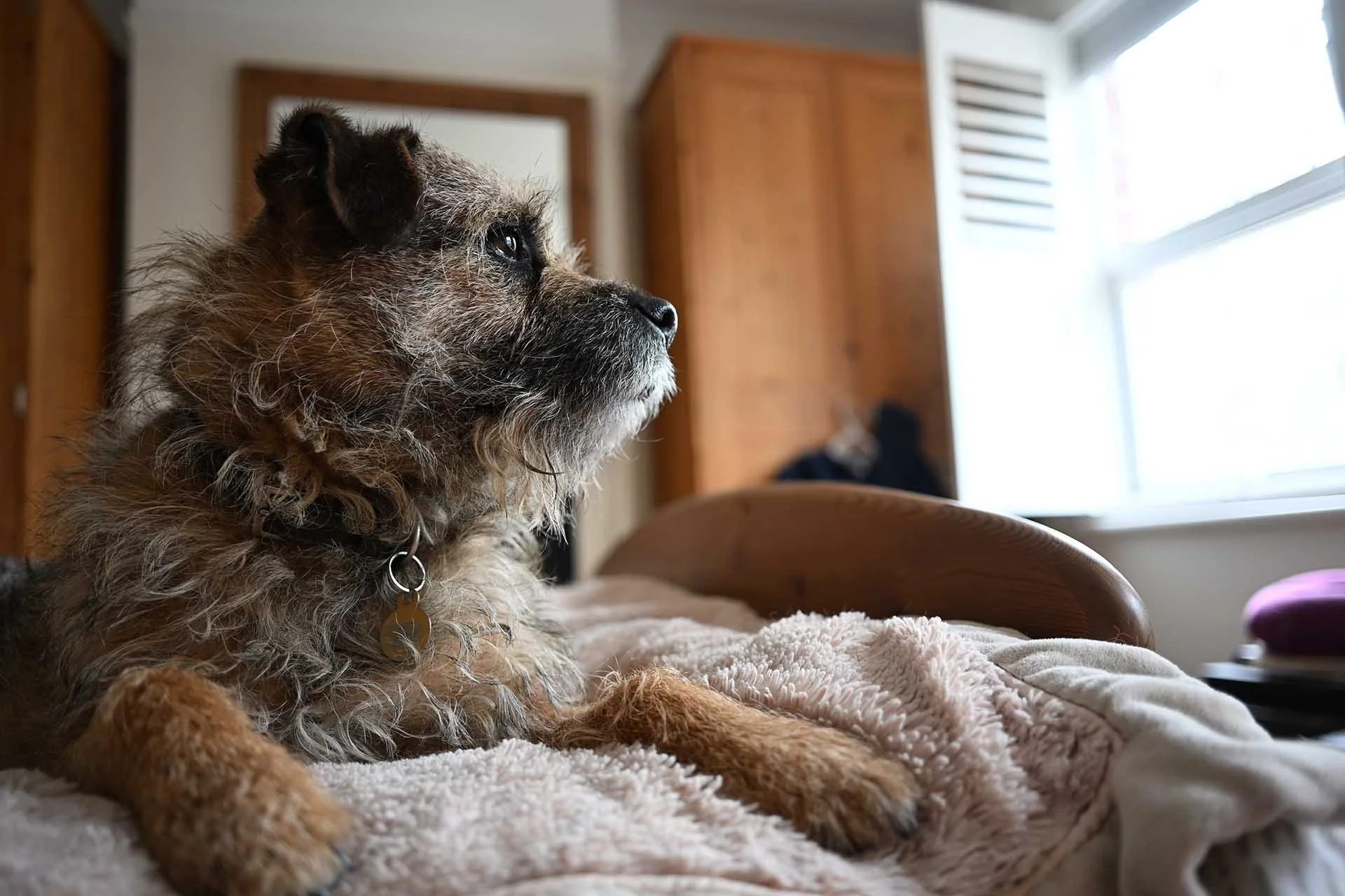 Image Credit: Angela Nicholson. Like the previous image, this shot had +0.67 exposure compensation applied to brighten Otto’s face. Camera Z5II, lens Nikkor Z 26mm F2.8 at f/2.8, 1/30 sec and ISO 320.ens