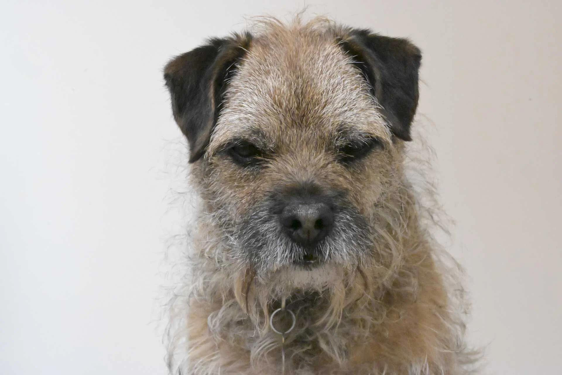 Image Credit: Angela Nicholson. This ISO 64000 JPEG image looks much softer than the simultaneously captured raw file. I recommend taking a look at the full-resolution image to see it more clearly, but you can also scroll down to the raw file below. Camera Z5II, lens Nikkor Z 85mm F1.2 at f/16, 1/200 sec and ISO 64000.