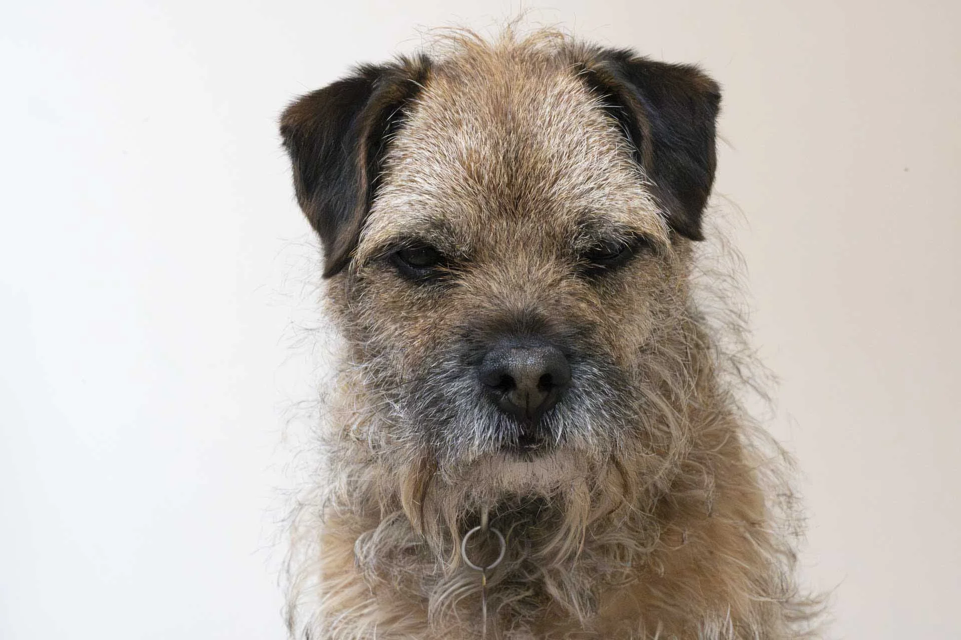 Image Credit: Angela Nicholson. This ISO 64000 image was created from a raw file that has been treated with the AI noise reduction in Adobe Camera Raw. I recommend looking at the full-resolution image to see it more clearly. Camera Z5II, lens Nikkor Z 85mm F1.2 at f/16, 1/200 sec and ISO 64000.