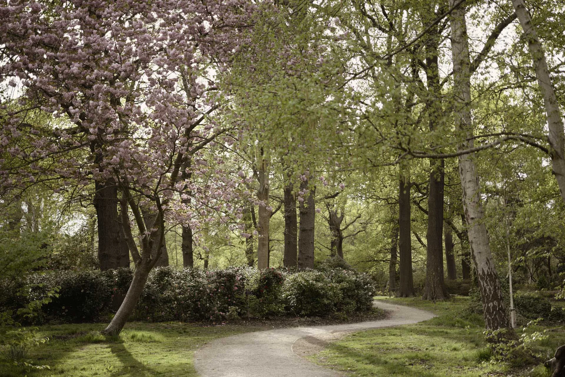 Image Credit: Angela Nicholson. Another image shot with the Picture Control set to Sepia setting at 50%. Camera Z5II, lens Nikkor Z MC 50mm F2.8 VR at f/6.3, 1/200 sec and ISO 100.