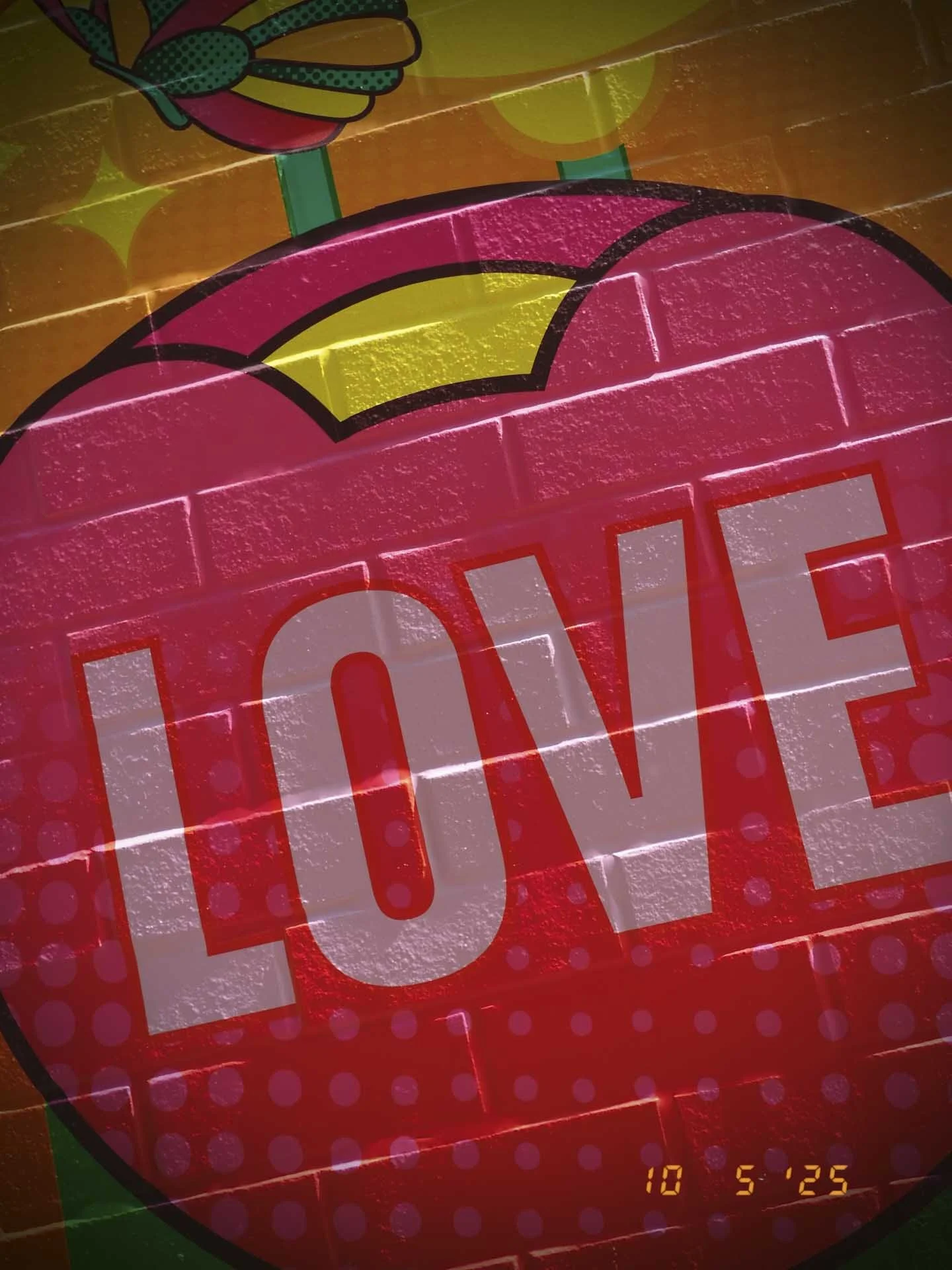  I used the Toy Camera filter to boost the colour saturation and add some vignetting to this image. 