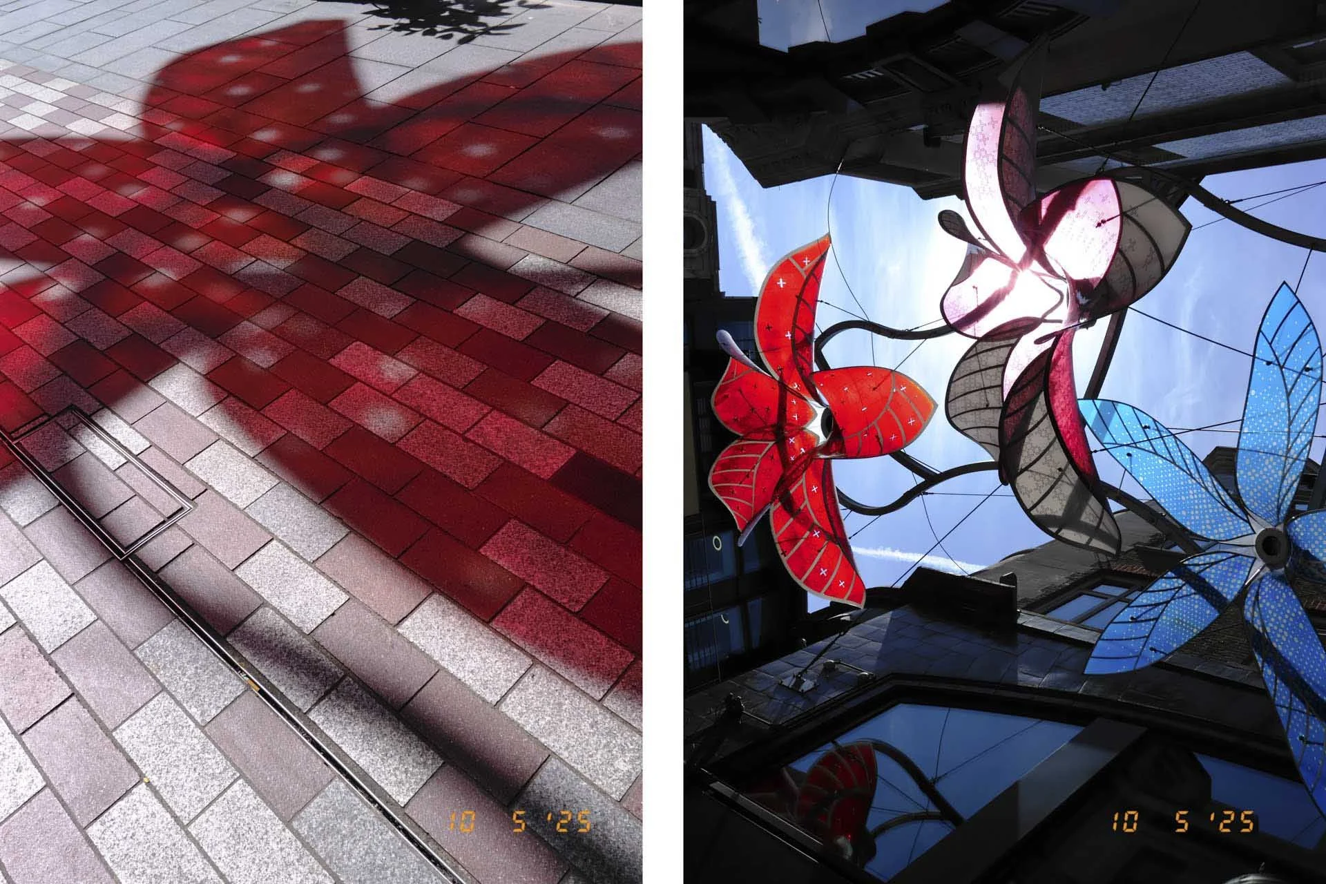  The Two-in-One feature in action. This becomes mildly addictive. If you don’t see a second subject to sit well with the first, the pair can be made post-capture using the X half app on a smartphone. 