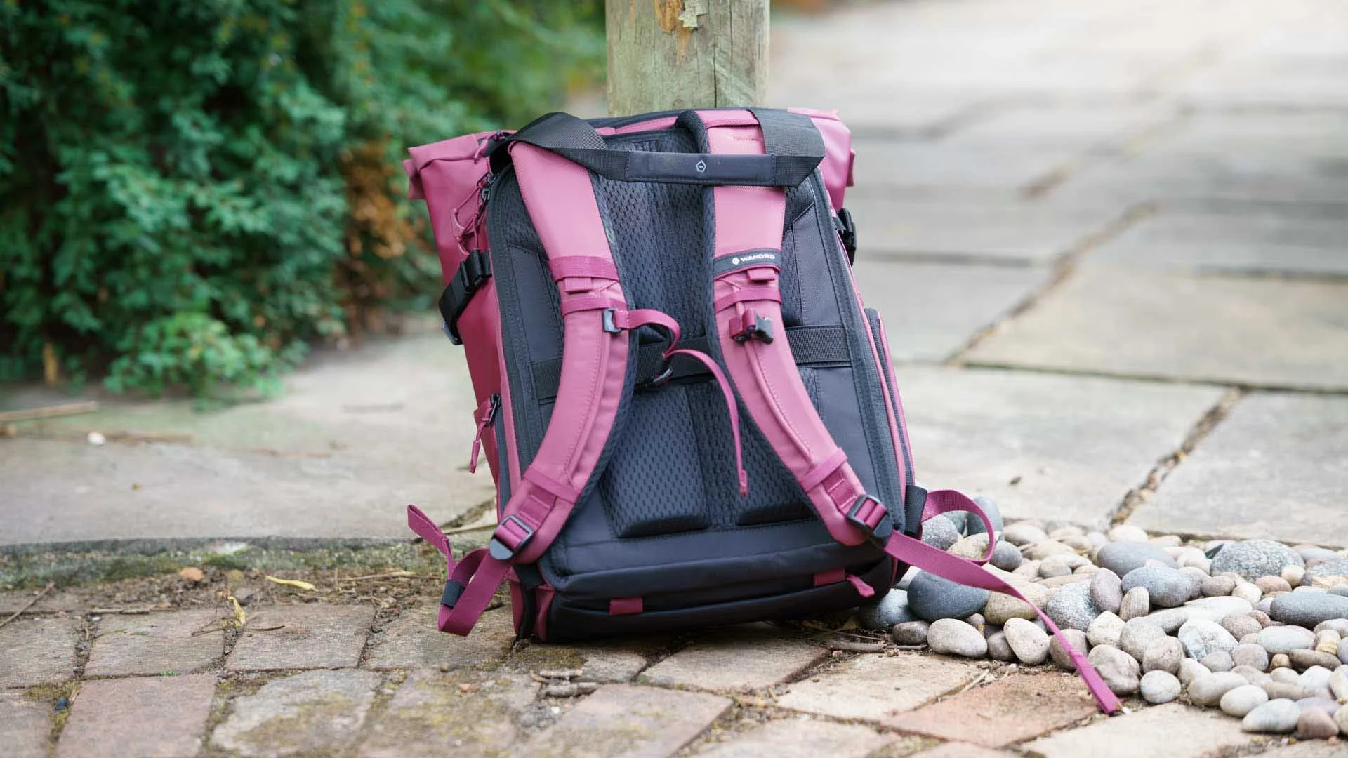  The rear panel of the Wandrd PRVKE 21 V4 is well-padded and shaped to make it comfortable on your back. 