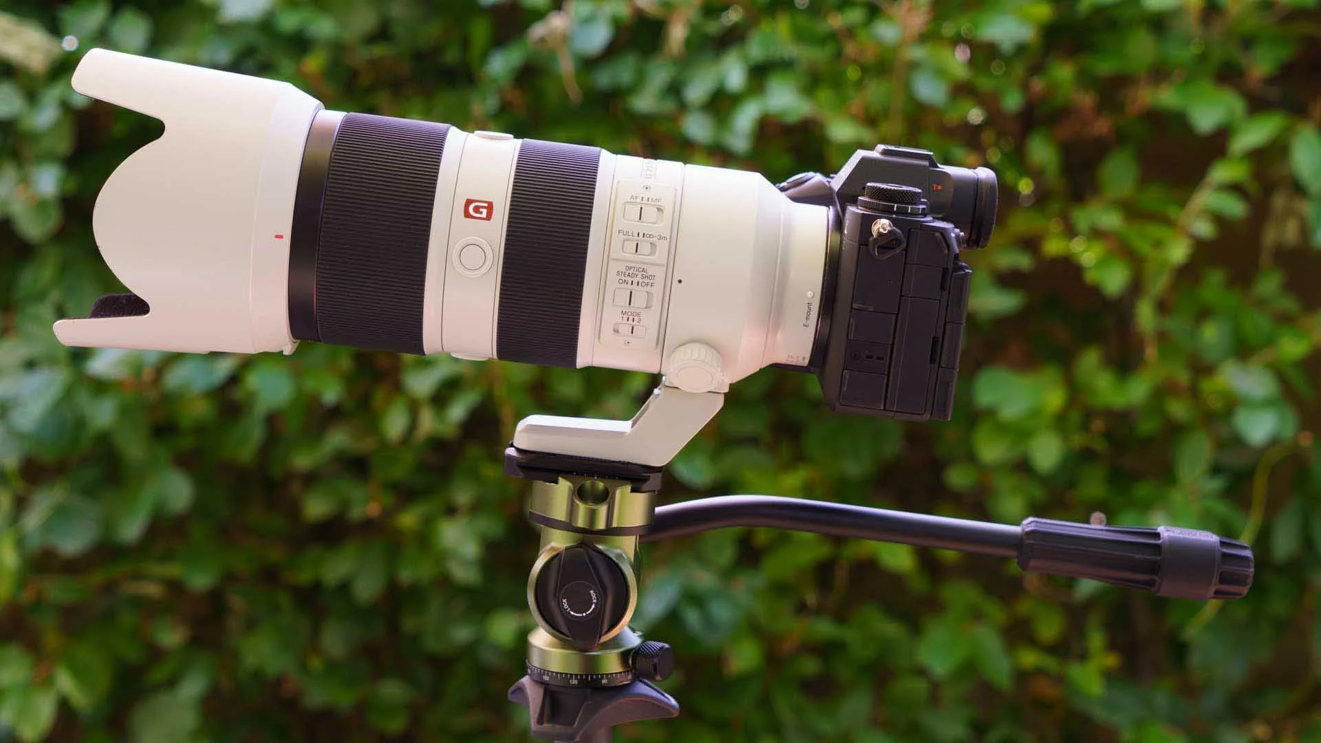  The AirHed vision handled this camera and lens combination with ease, allowing smooth panning and tilting, plus it locked tight with no drooping. 