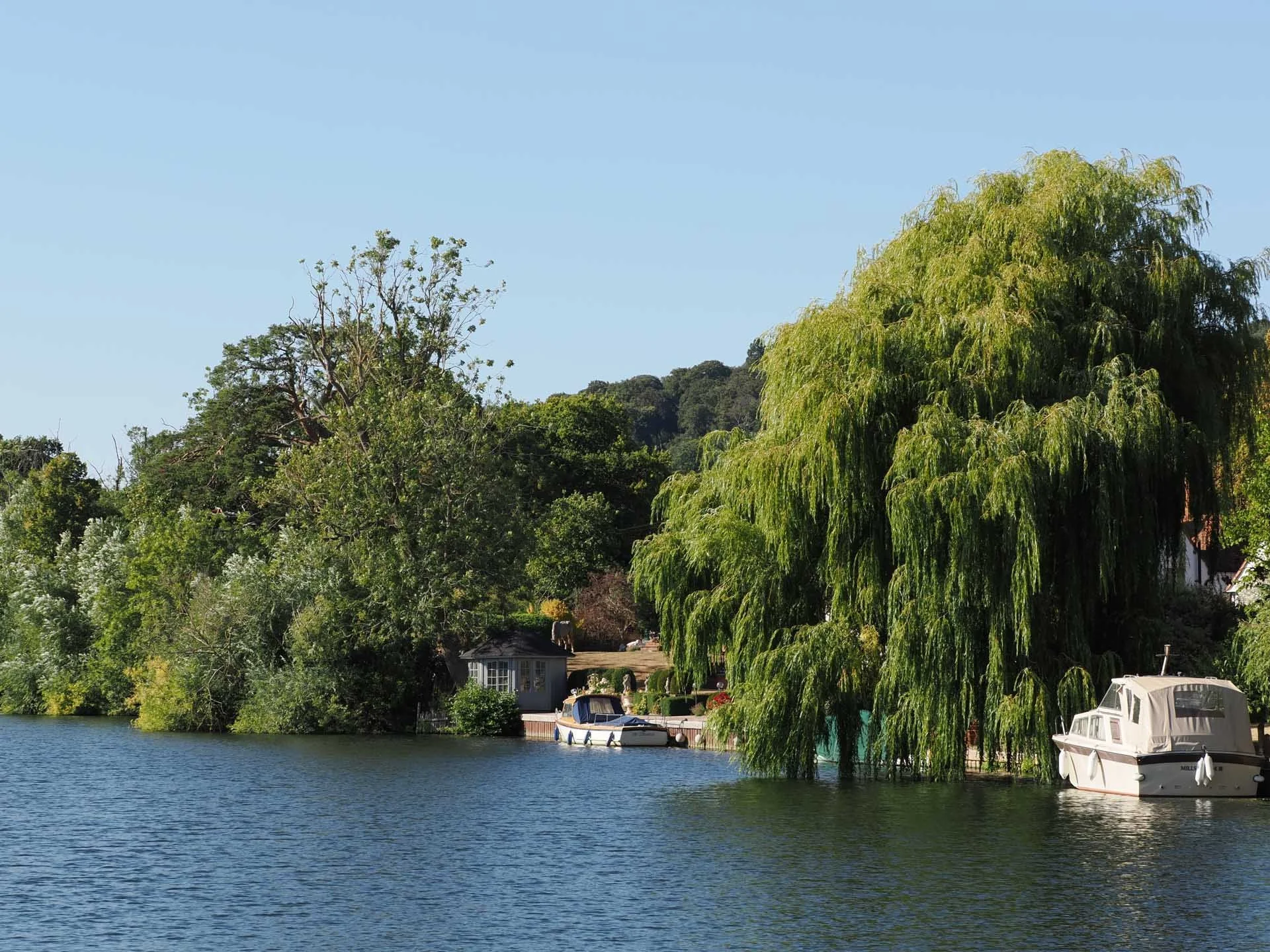  The focal length range is versatile and suitable for a range of genres and subjects. Image credit: Angela Nicholson. Camera: OM System OM-1 Mark II, Lens: OM System M.Zuiko ED 50-200mm F2.8 IS Pro at 50mm, f/8, 1/320 sec and ISO 200.  