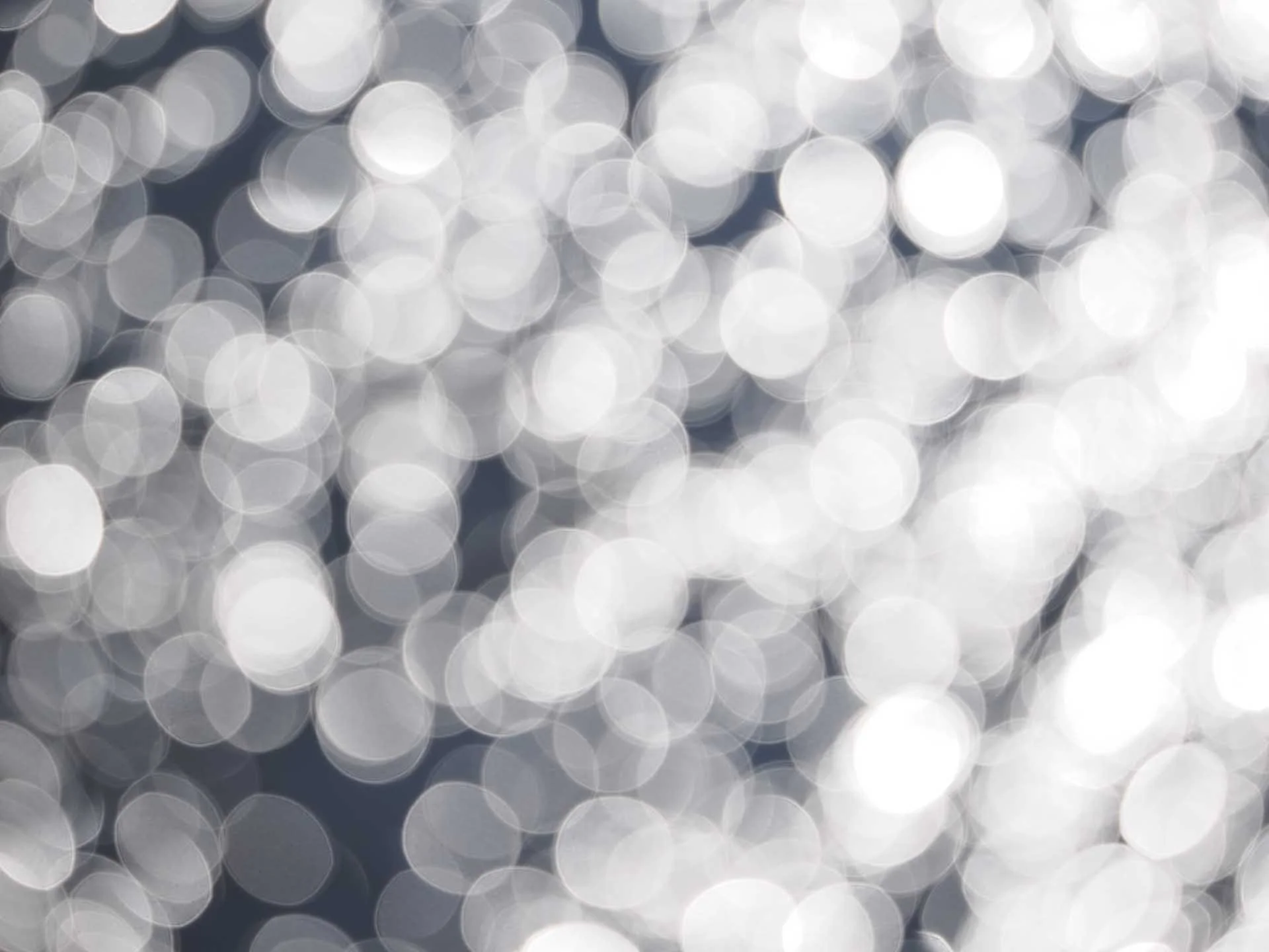  Out of focus highlights are reproduced extremely well.  Image credit: Angela Nicholson. Camera: OM System OM-1 Mark II, Lens: OM System M.Zuiko ED 50-200mm F2.8 IS Pro at 164mm, f/2.8, 1/5000 sec and ISO 200.  