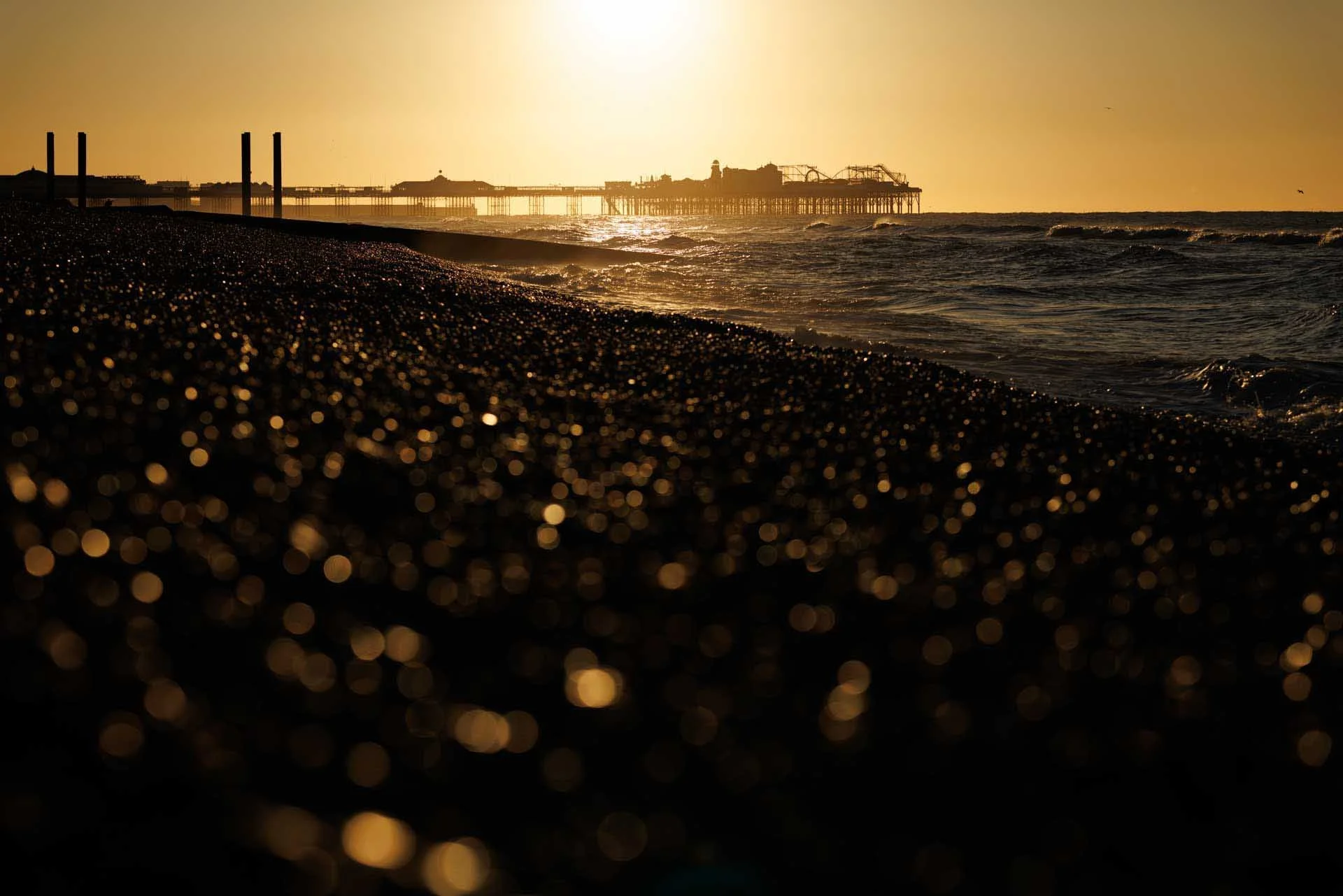  This low-level image shows the creative potential of the bokeh captured by the Canon RF 85mm F1.4L VCM at wide aperture settings. Image Credit: Angela Nicholson, Camera: Canon EOS R5 Mark II, Lens: Canon RF 85mm F1.4L VCM at 1/8000 sec, f/3.5 and ISO 100. 