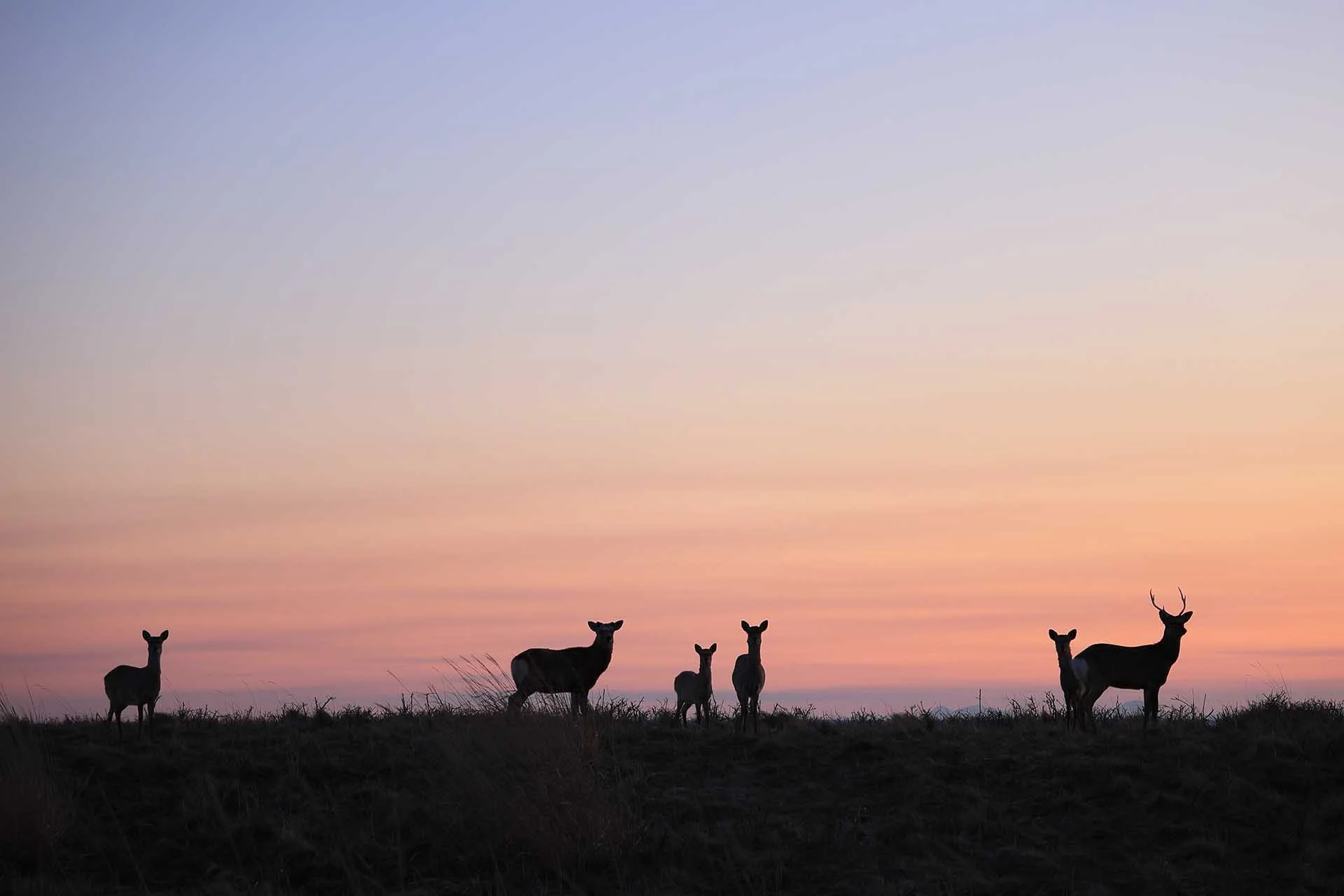  Image Credit: Taichi Kozawa. The Sigma 18-50mm F2.8 DC DN | Contemporary is small and light, making it a good choice for carrying over long distances. 