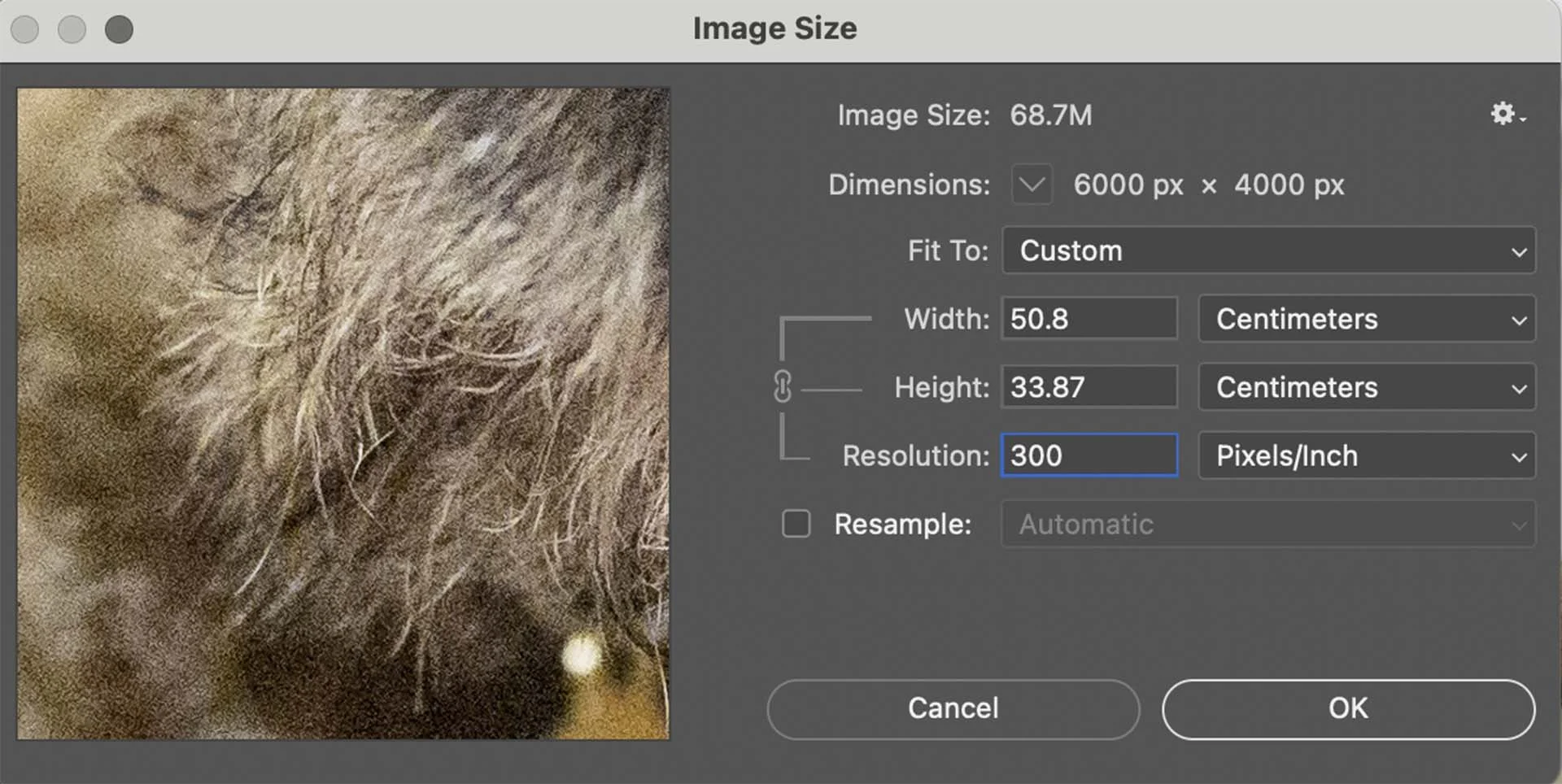  At 300PPI the same 6000 x 4000 pixel image would 'measure' 50.9 x 33.87cm. 